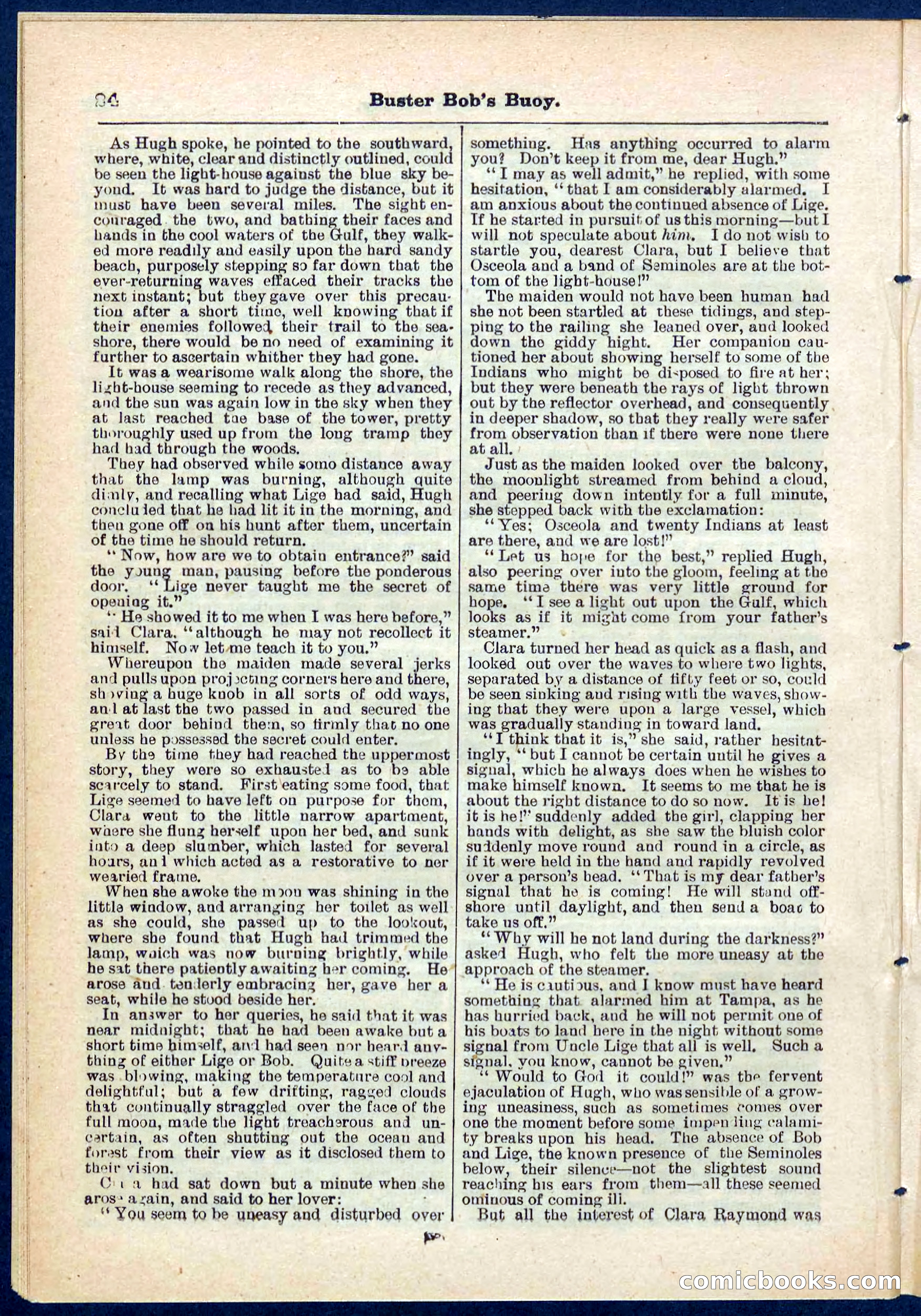 Beadle's Pocket Library No. 263 — page 24 of 32