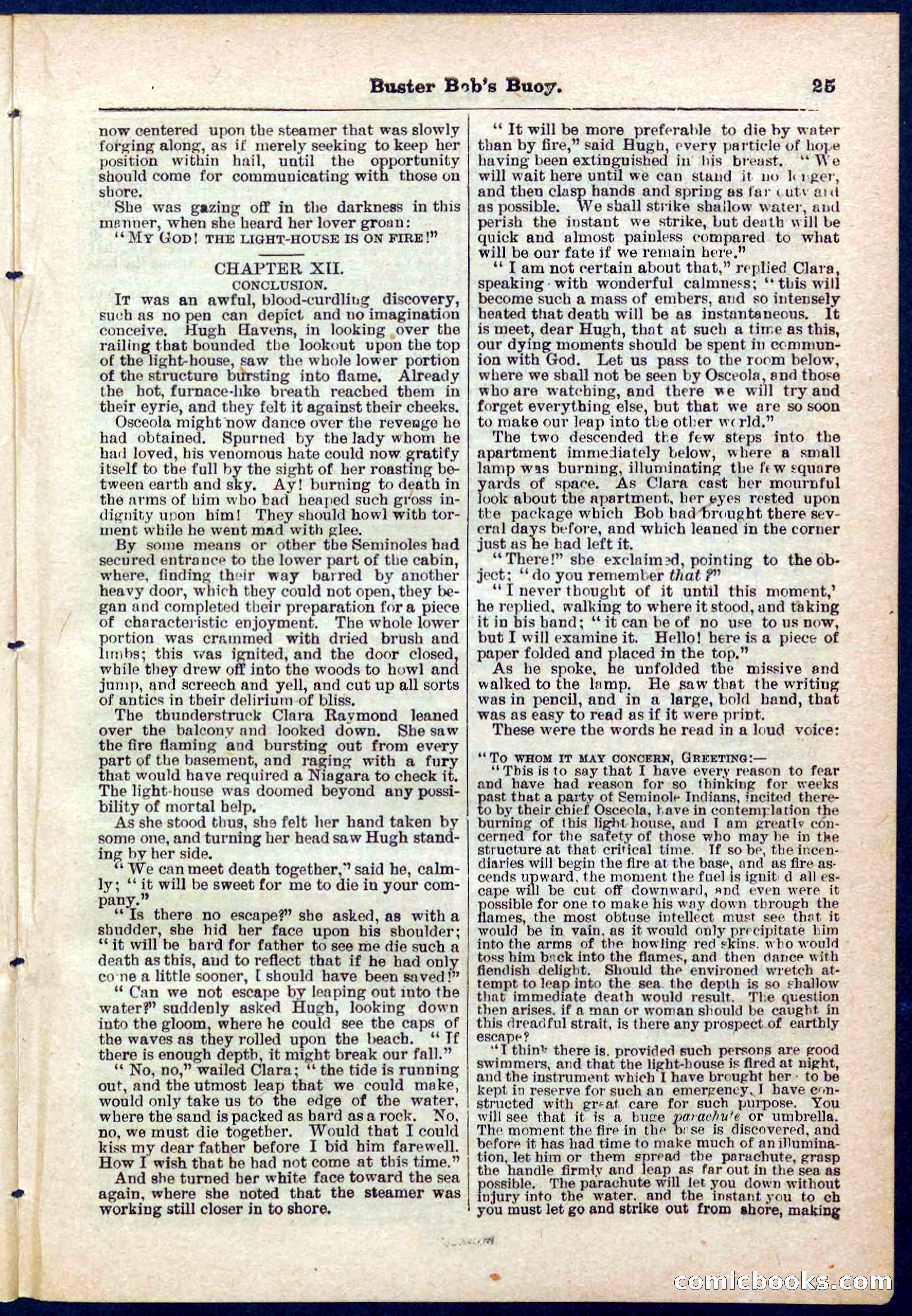 Beadle's Pocket Library No. 263 — page 25 of 32