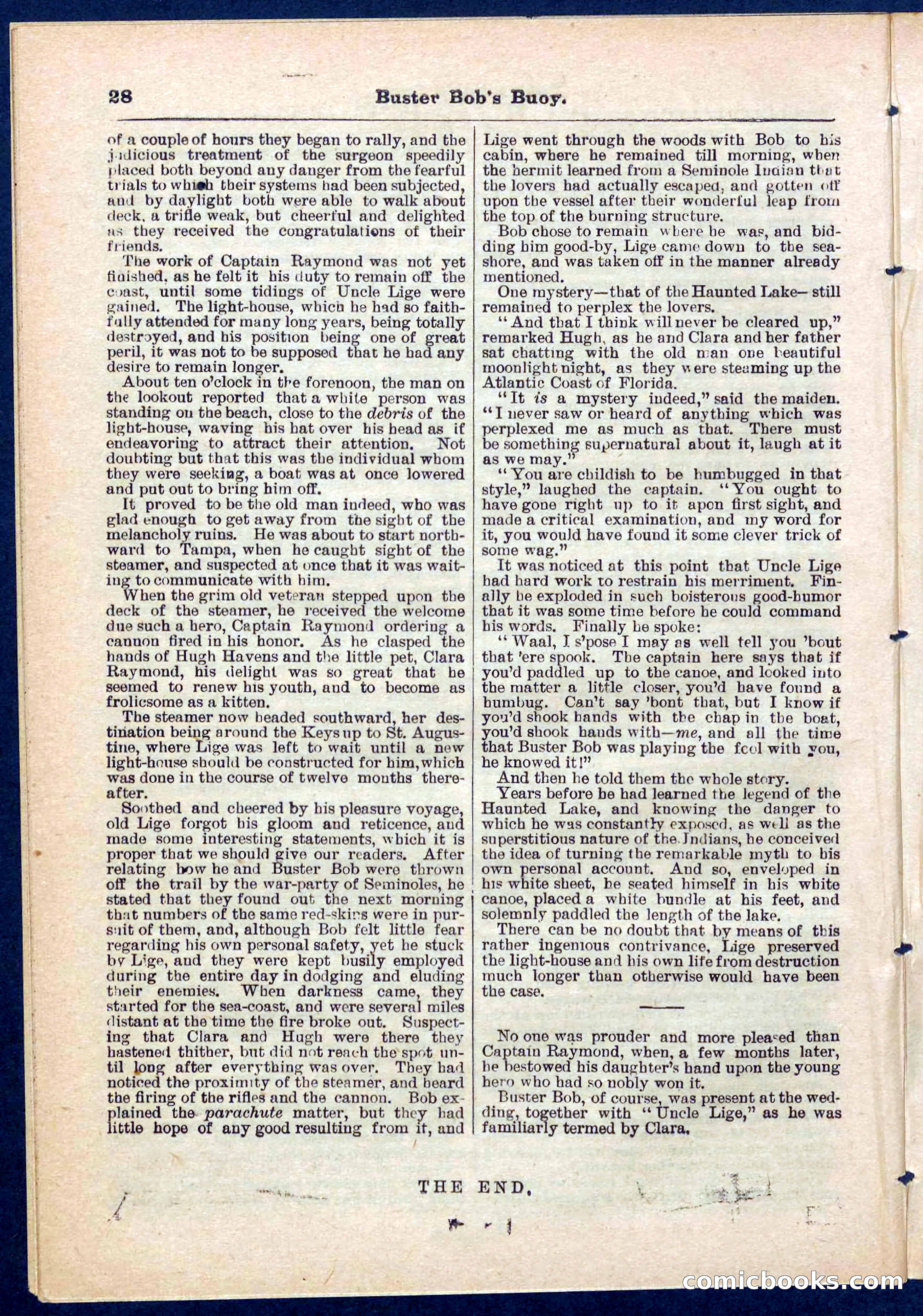 Beadle's Pocket Library No. 263 — page 28 of 32
