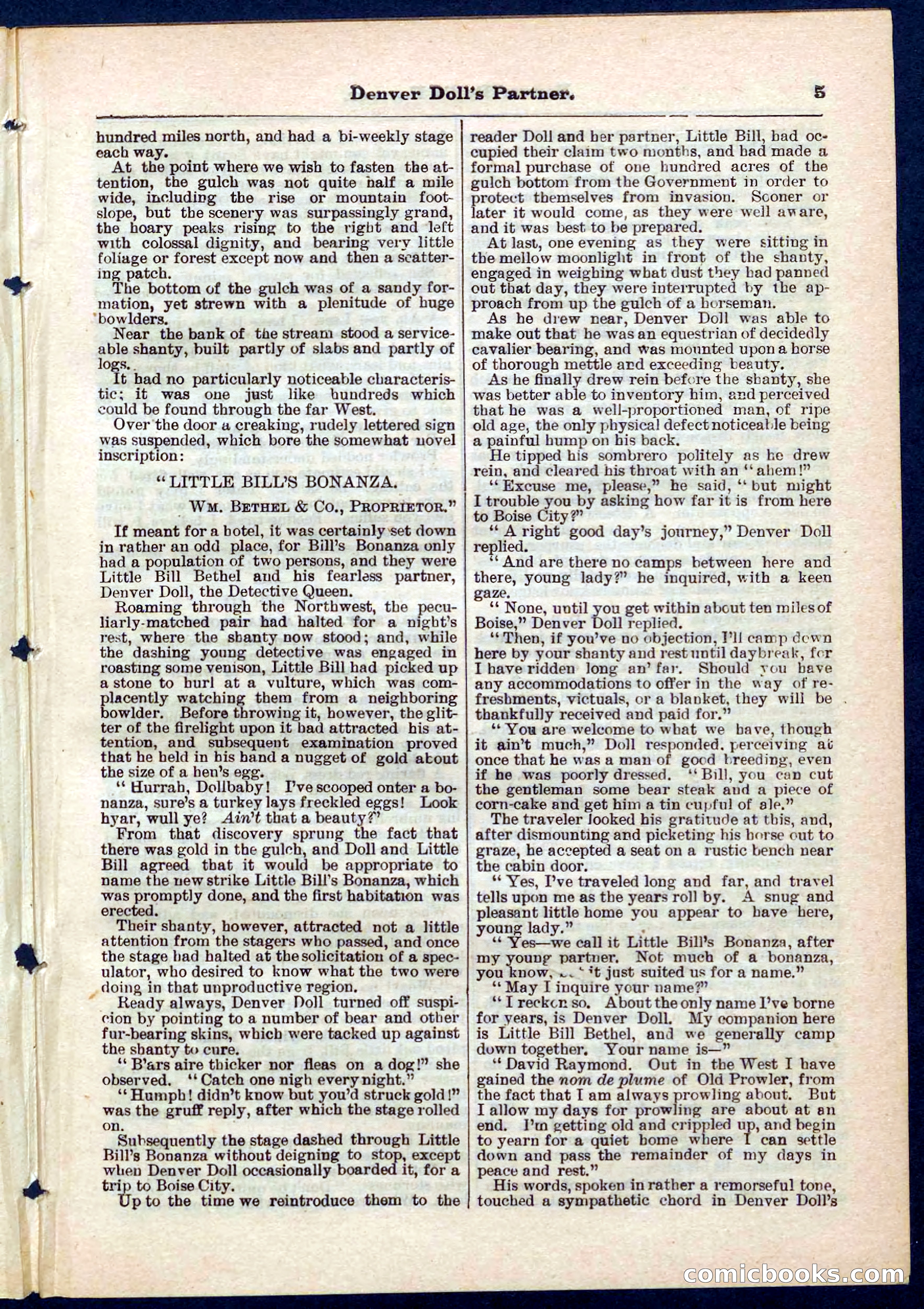 Beadle's Pocket Library No. 264 — page 5 of 32