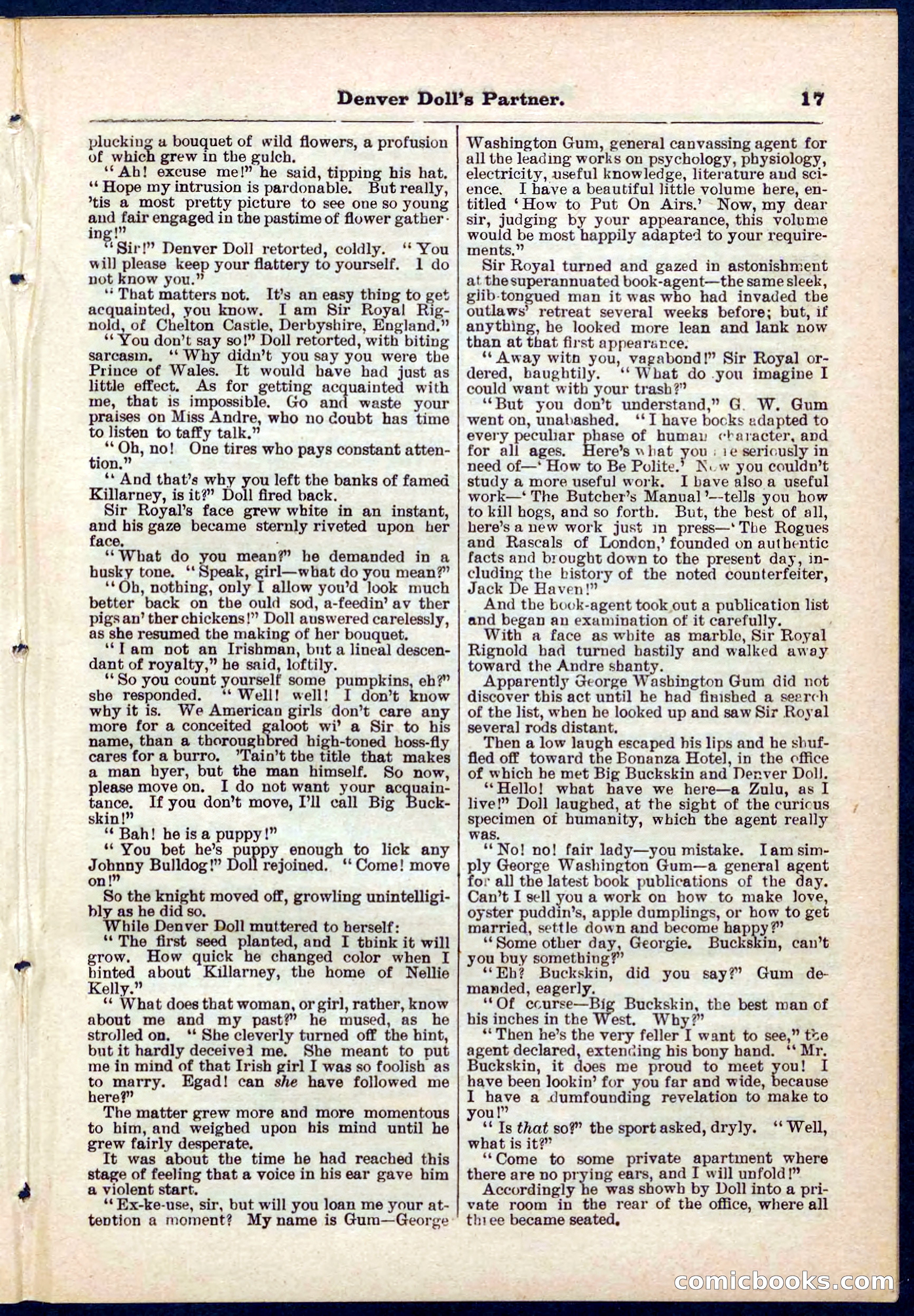 Beadle's Pocket Library No. 264 — page 17 of 32