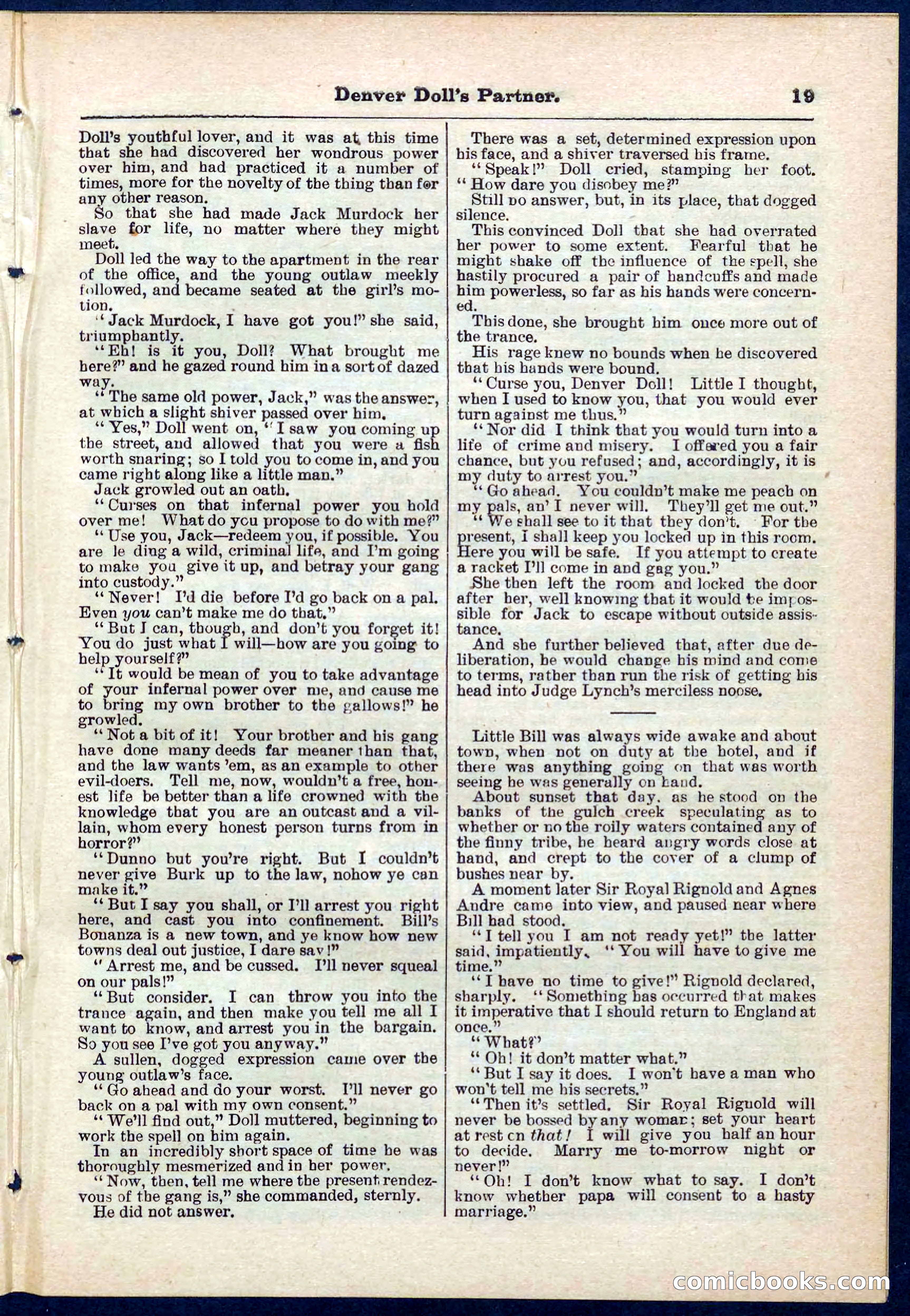 Beadle's Pocket Library No. 264 — page 19 of 32
