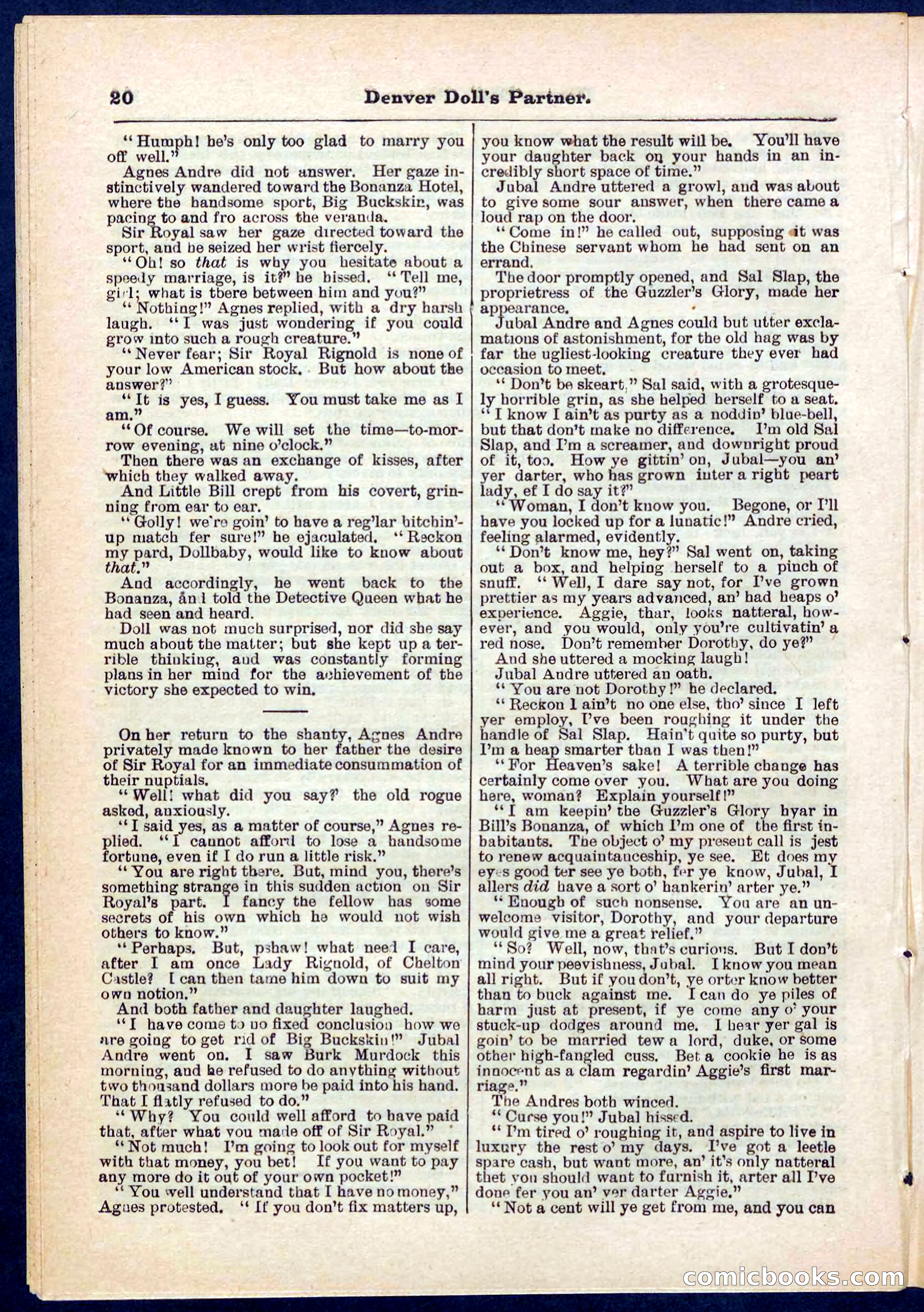 Beadle's Pocket Library No. 264 — page 20 of 32