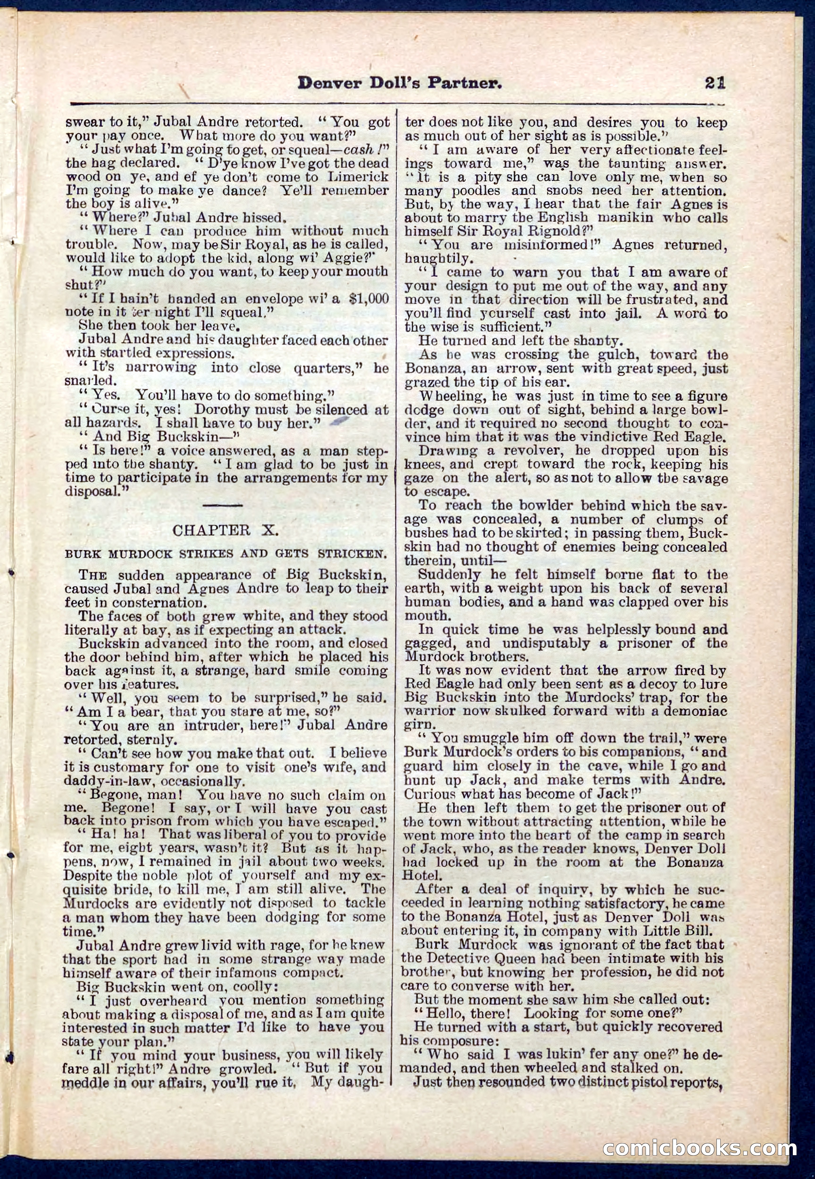 Beadle's Pocket Library No. 264 — page 21 of 32