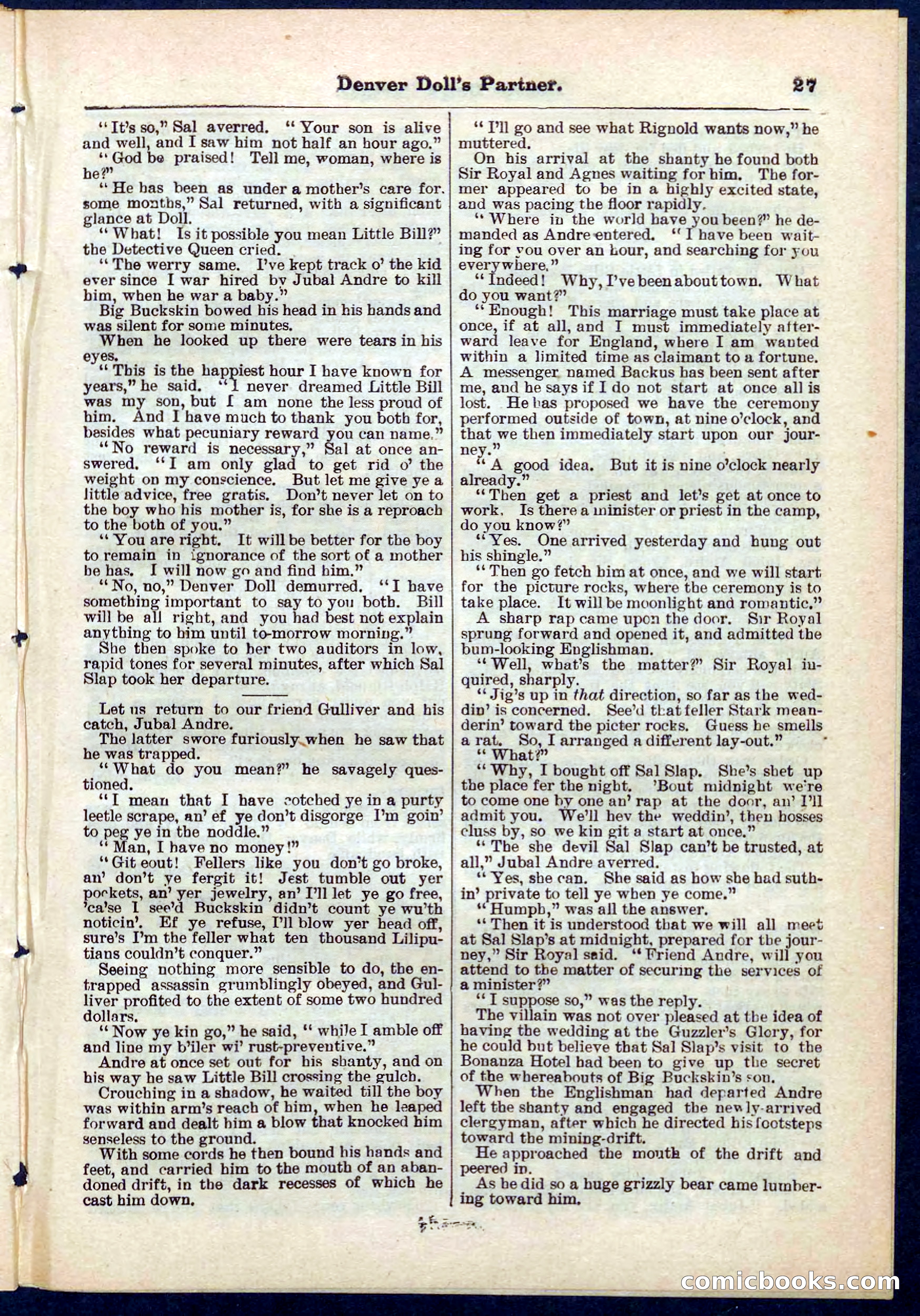Beadle's Pocket Library No. 264 — page 27 of 32