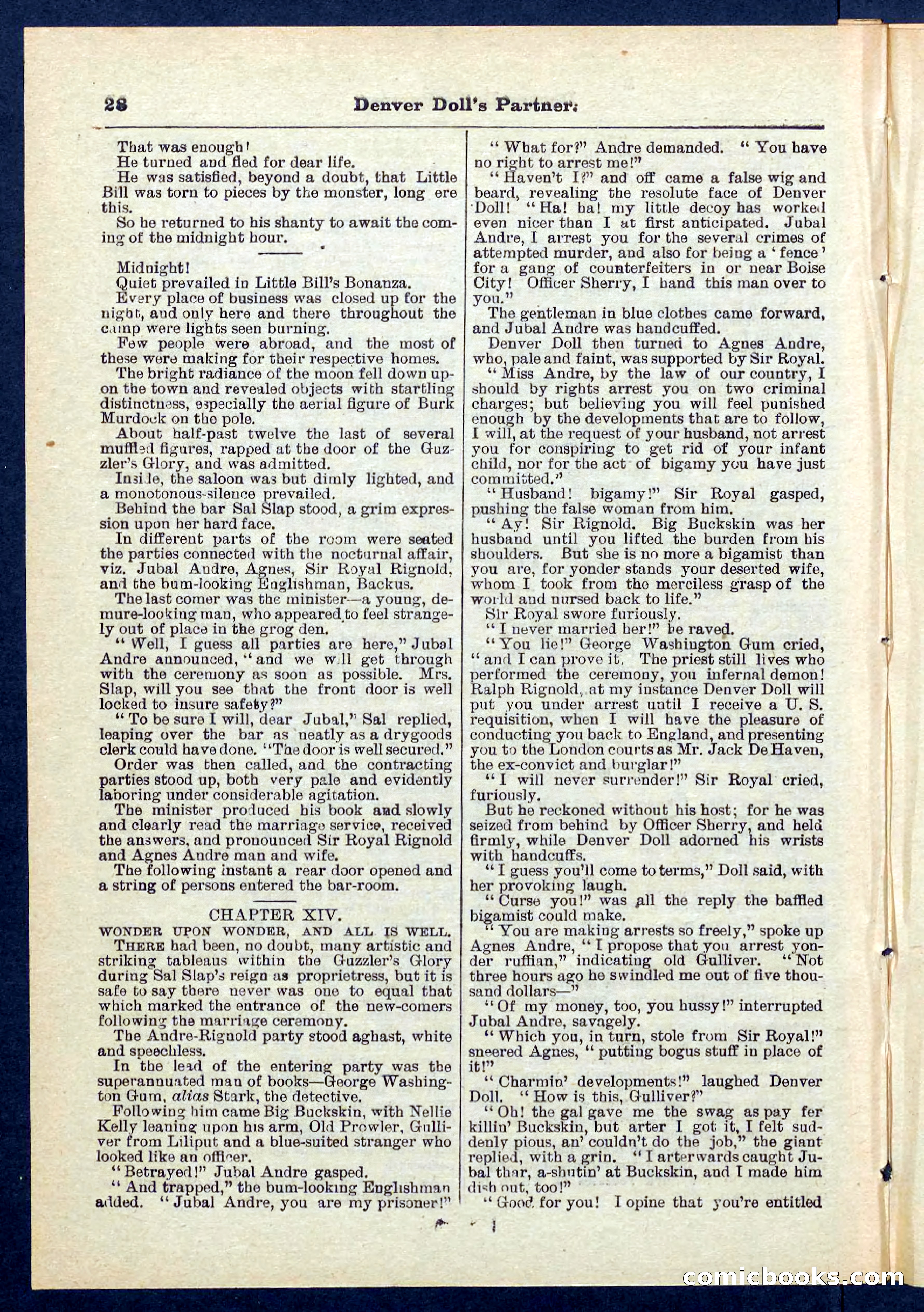 Beadle's Pocket Library No. 264 — page 28 of 32