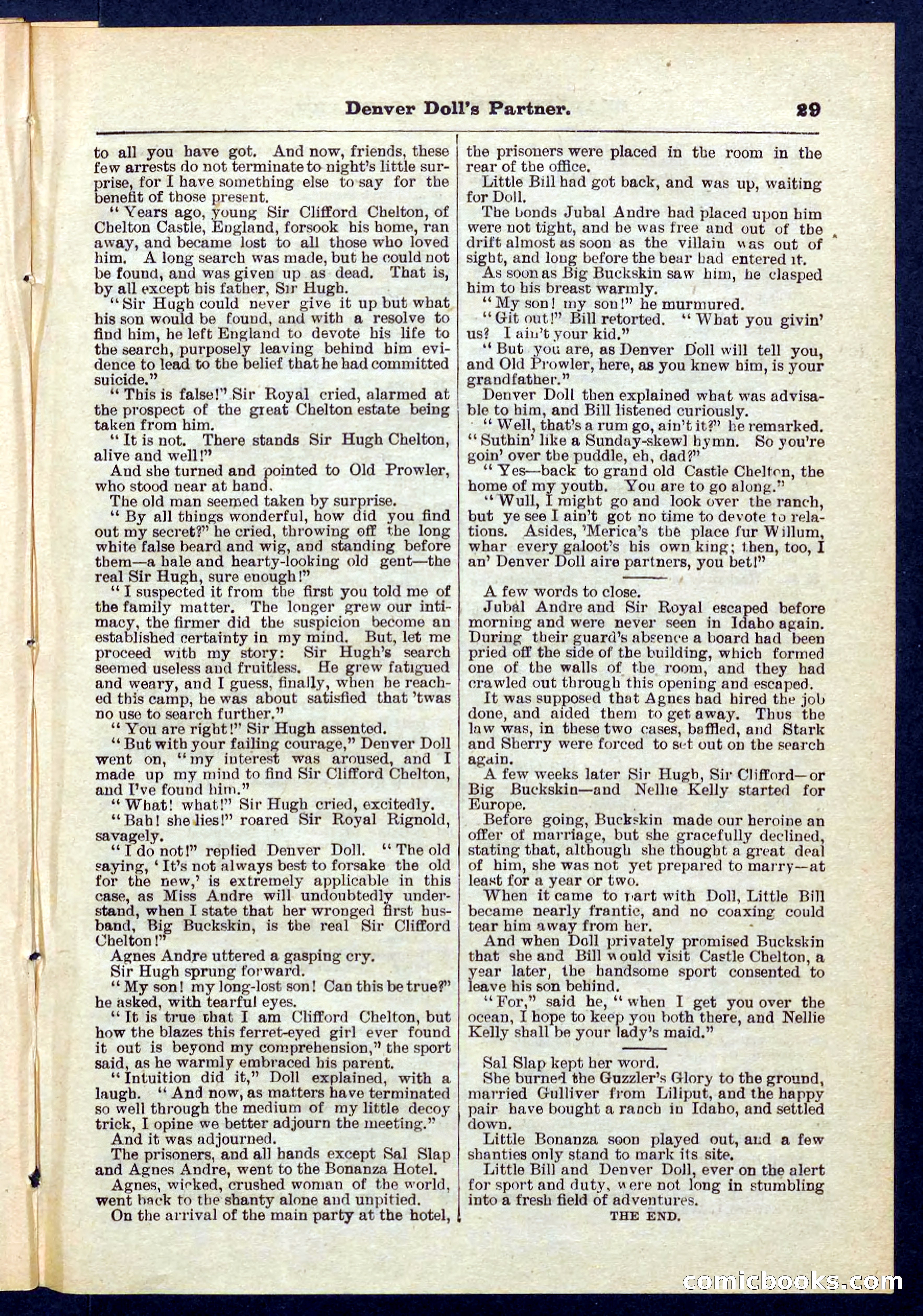 Beadle's Pocket Library No. 264 — page 29 of 32