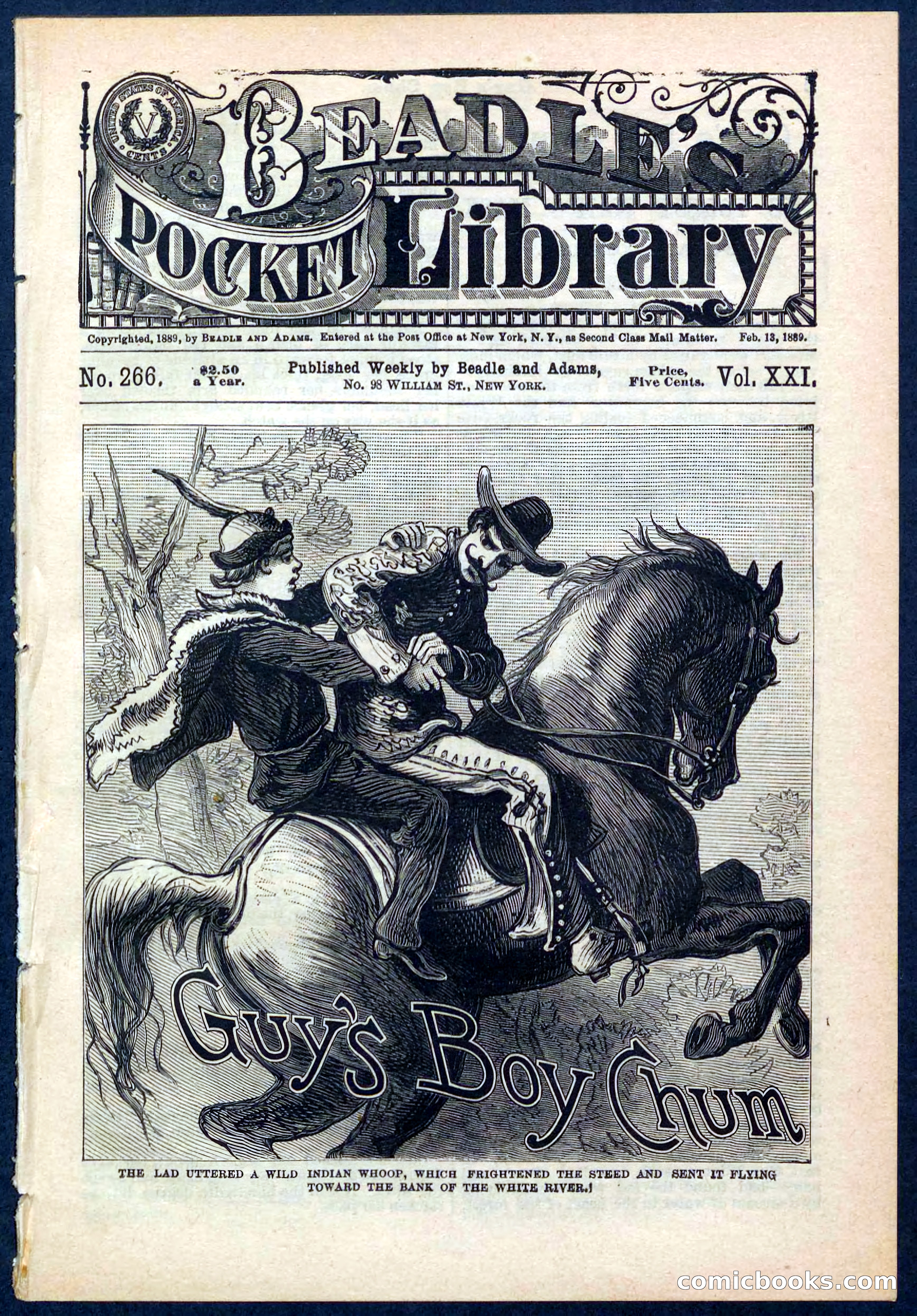 Beadle's Pocket Library No. 266 — page 1 of 32