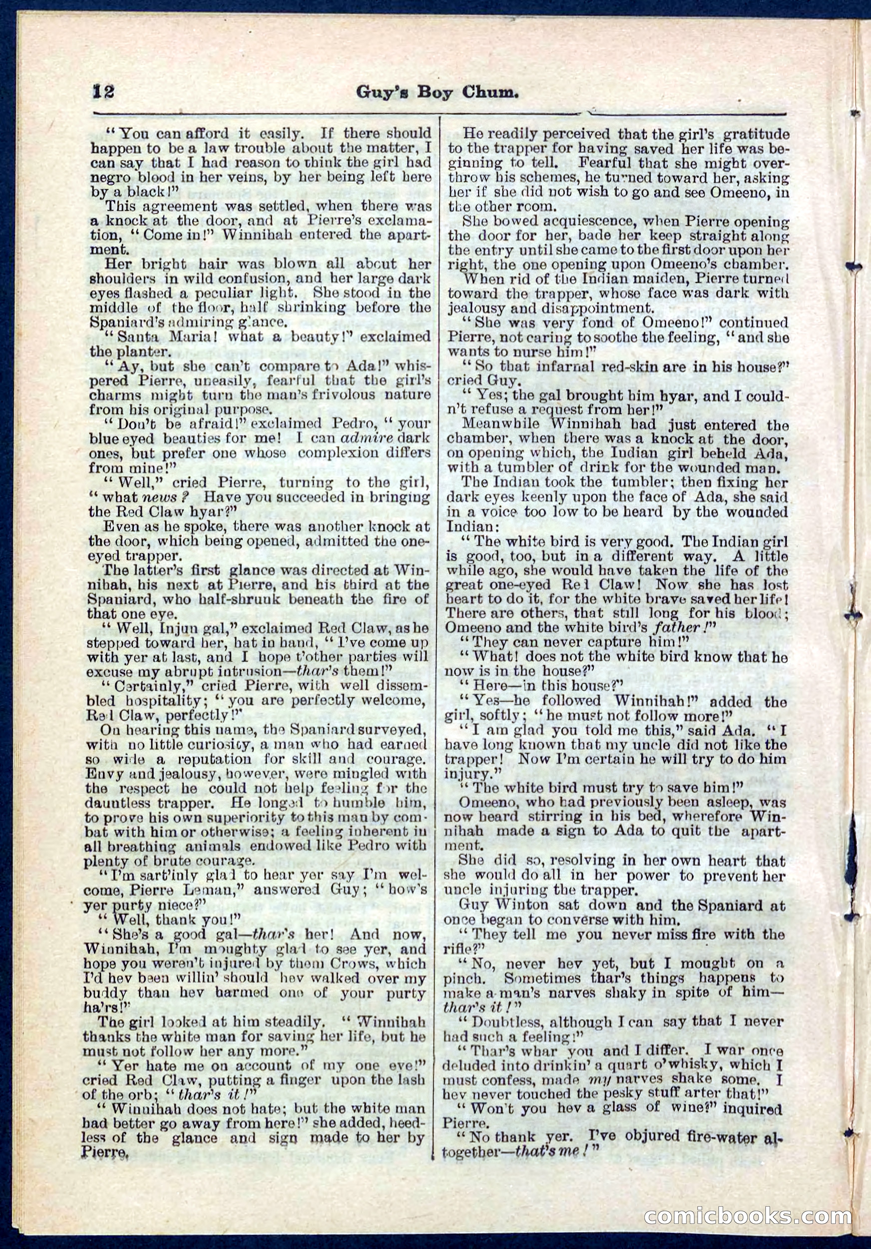 Beadle's Pocket Library No. 266 — page 12 of 32