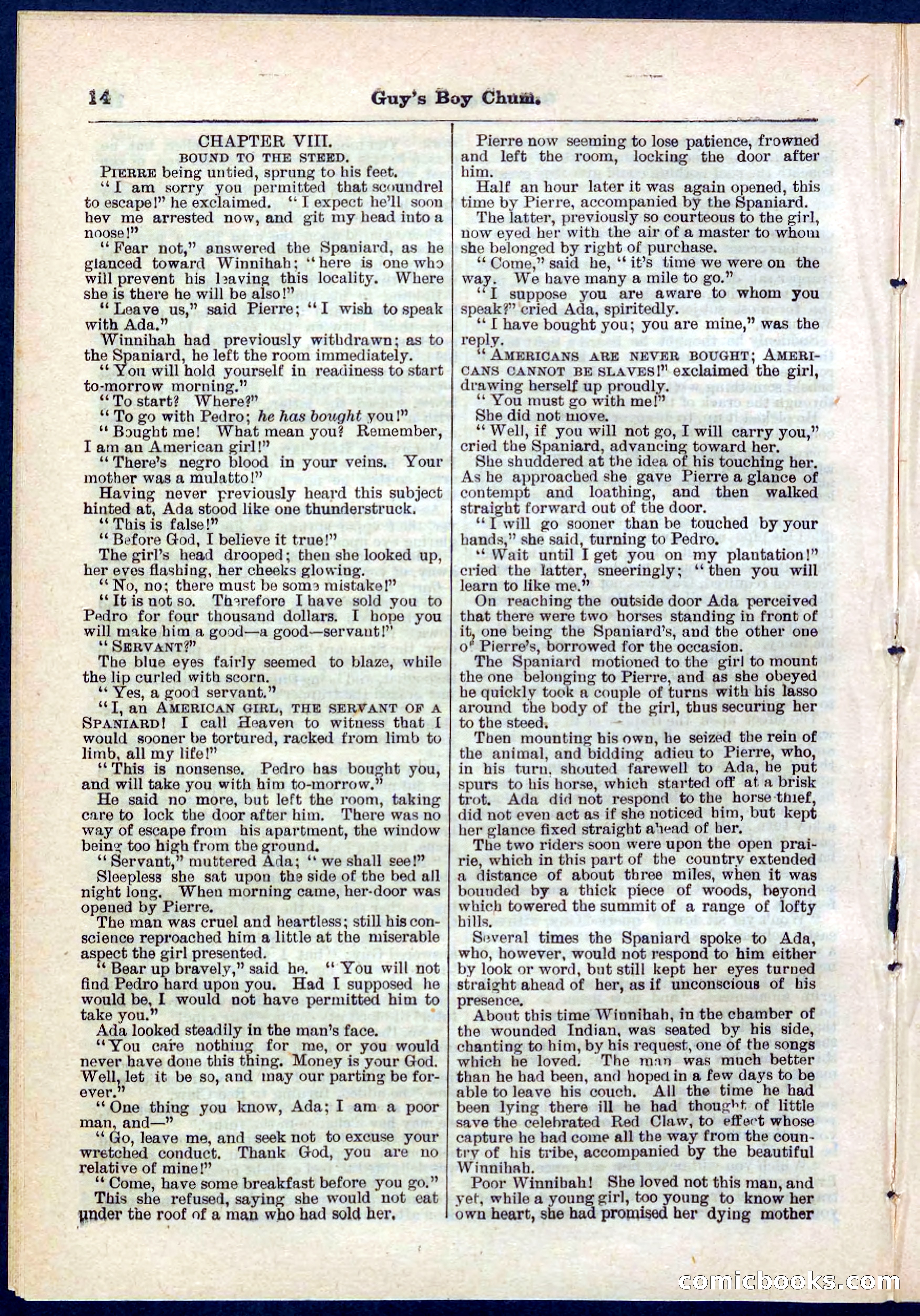 Beadle's Pocket Library No. 266 — page 14 of 32