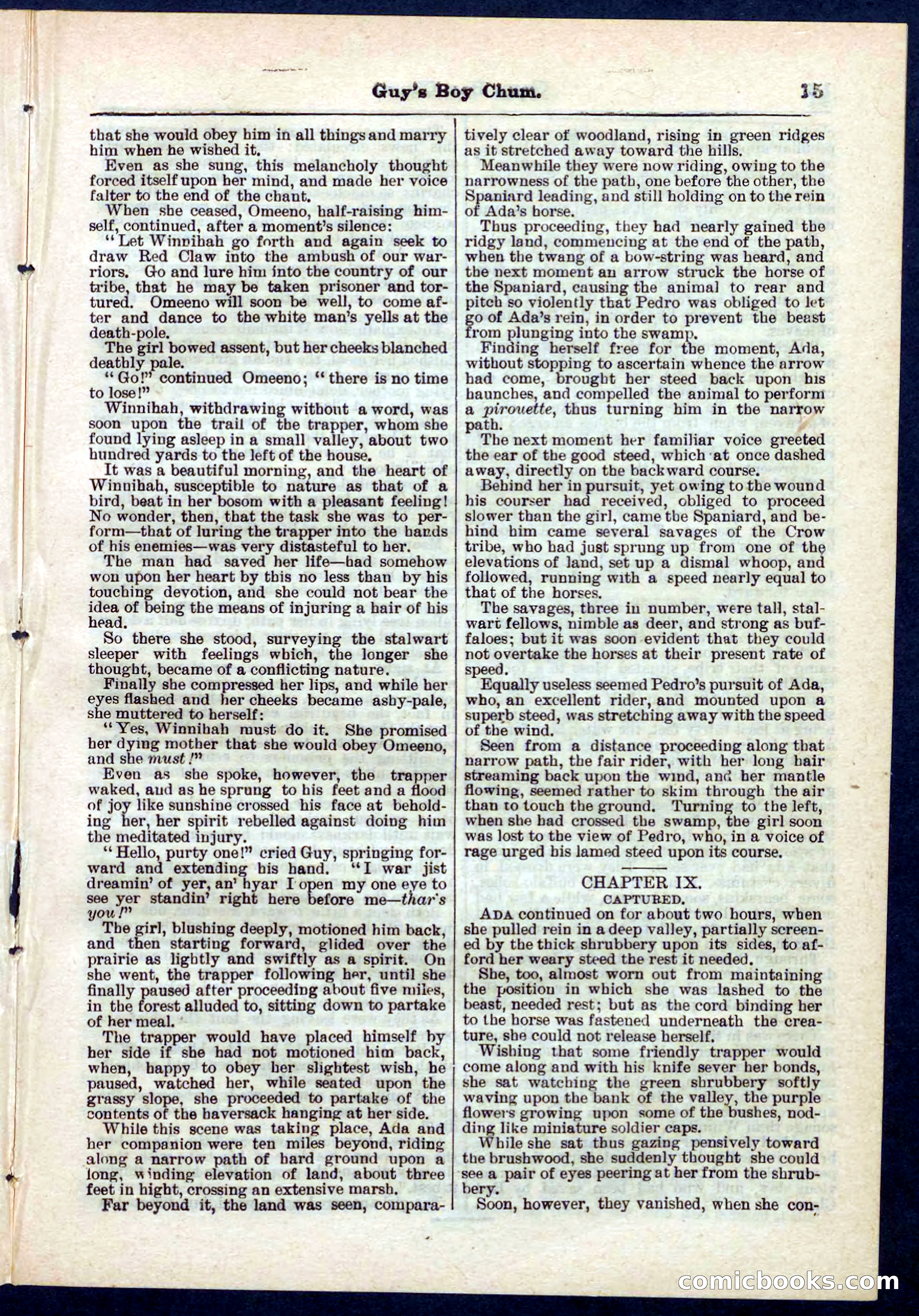 Beadle's Pocket Library No. 266 — page 15 of 32