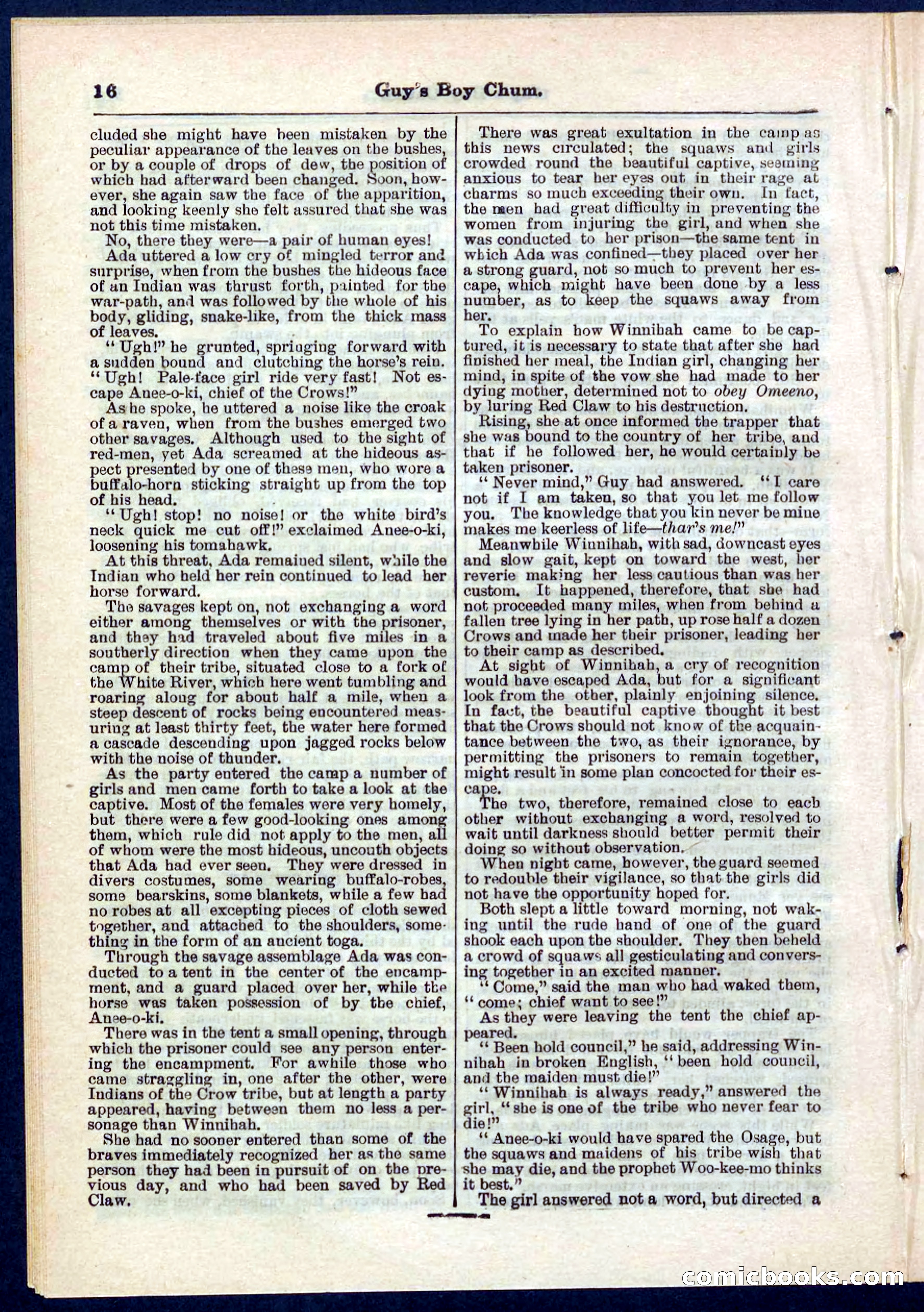 Beadle's Pocket Library No. 266 — page 16 of 32