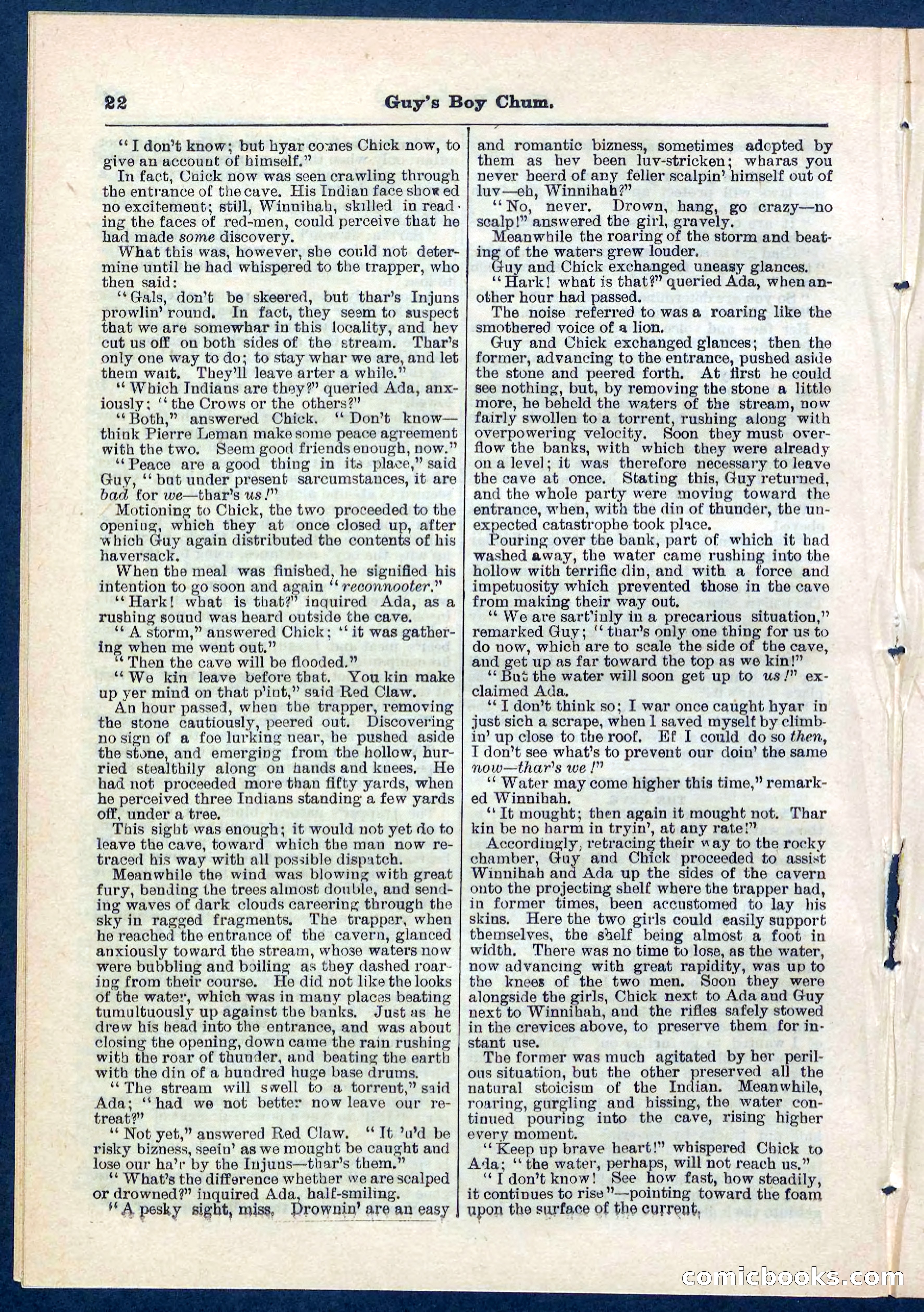 Beadle's Pocket Library No. 266 — page 22 of 32