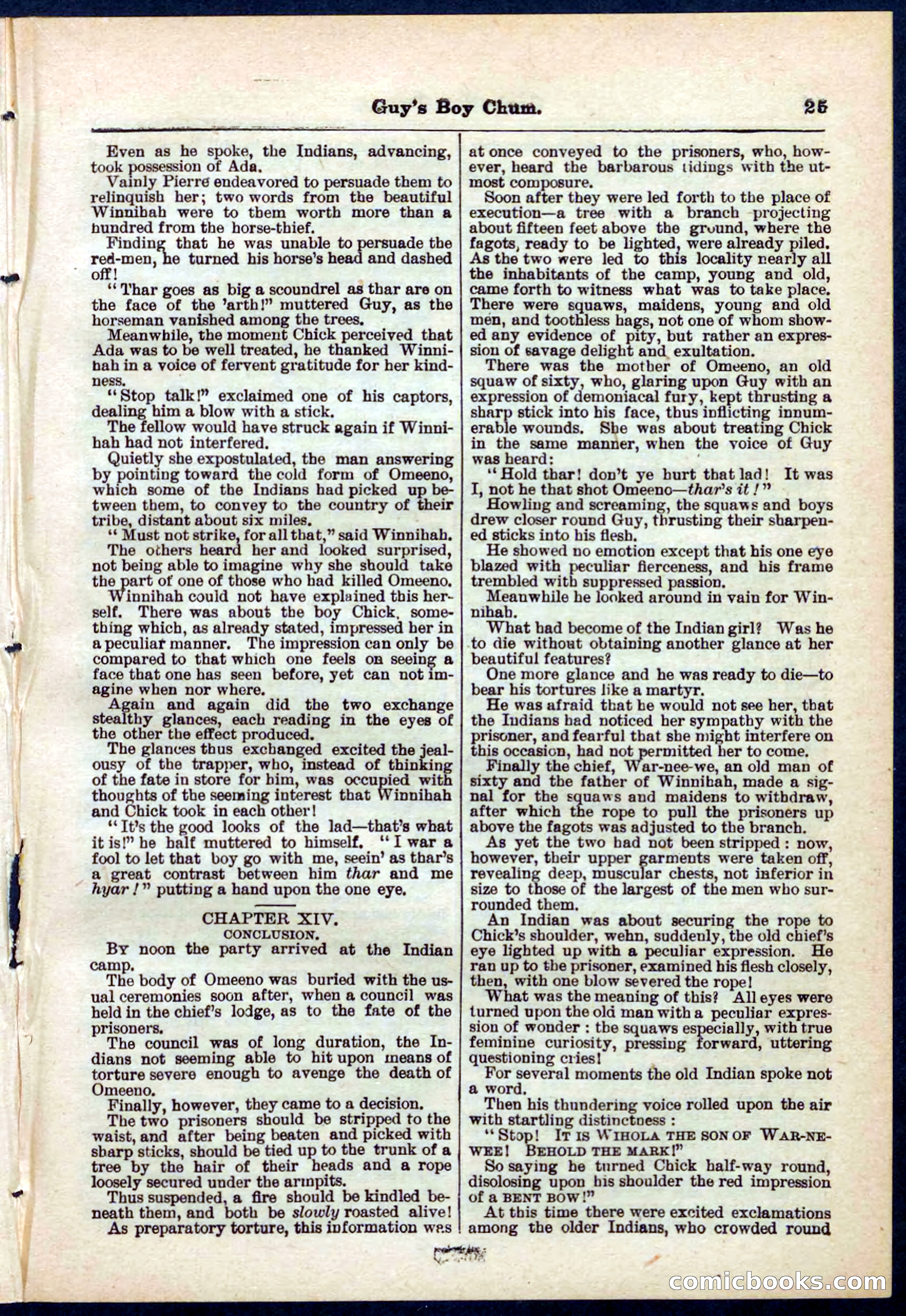 Beadle's Pocket Library No. 266 — page 25 of 32