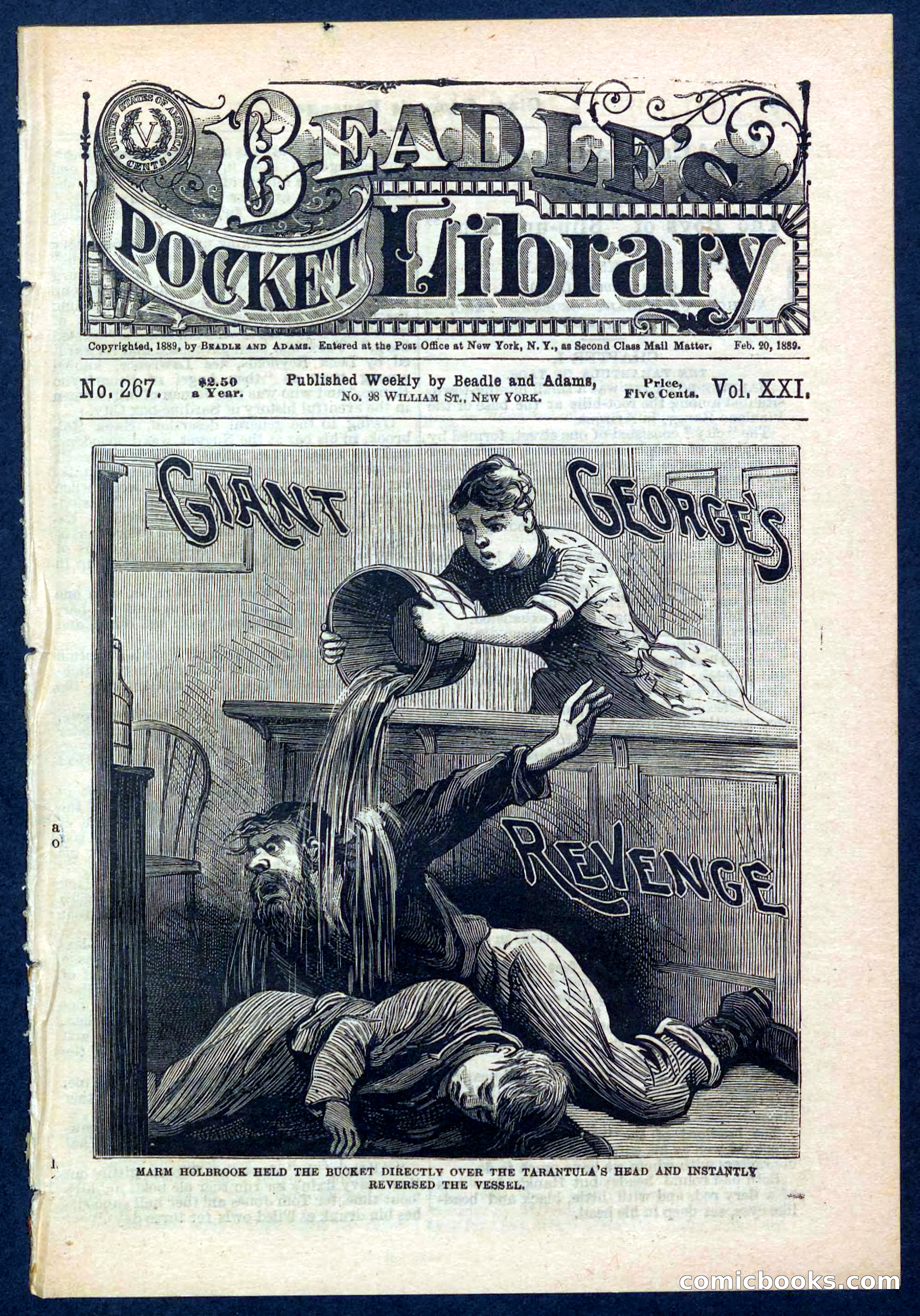 Beadle's Pocket Library No. 267 — page 1 of 32