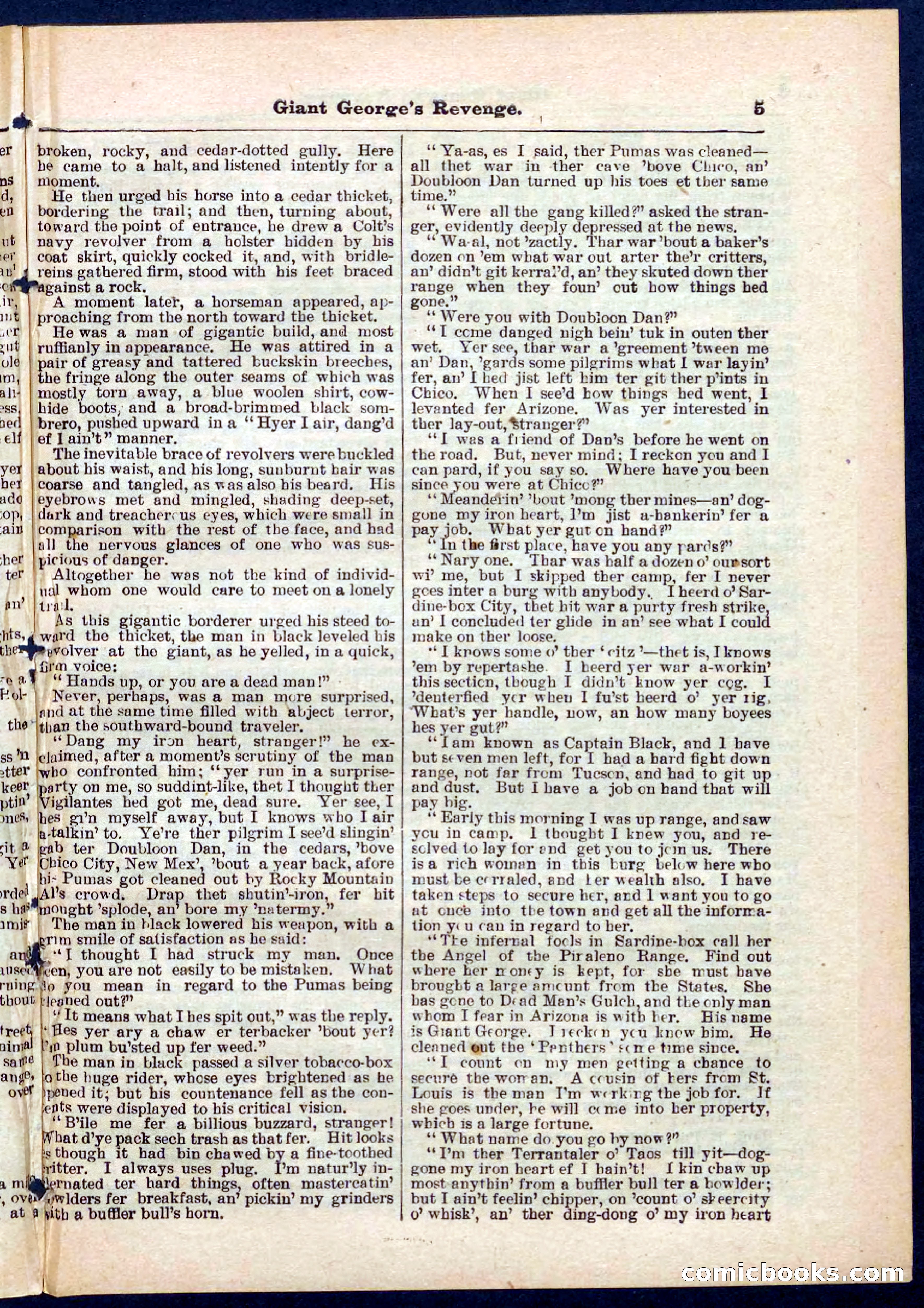 Beadle's Pocket Library No. 267 — page 5 of 32