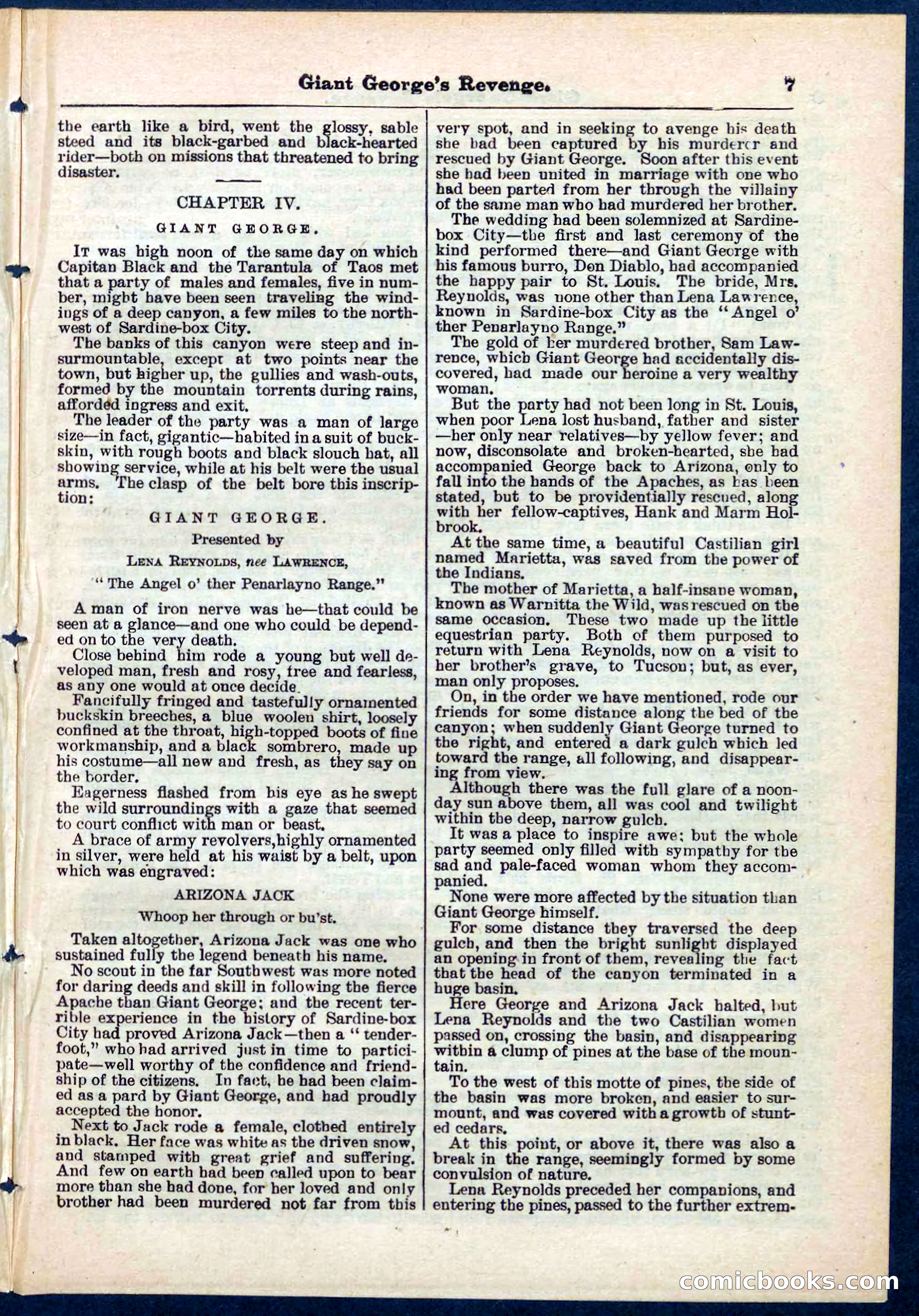 Beadle's Pocket Library No. 267 — page 7 of 32