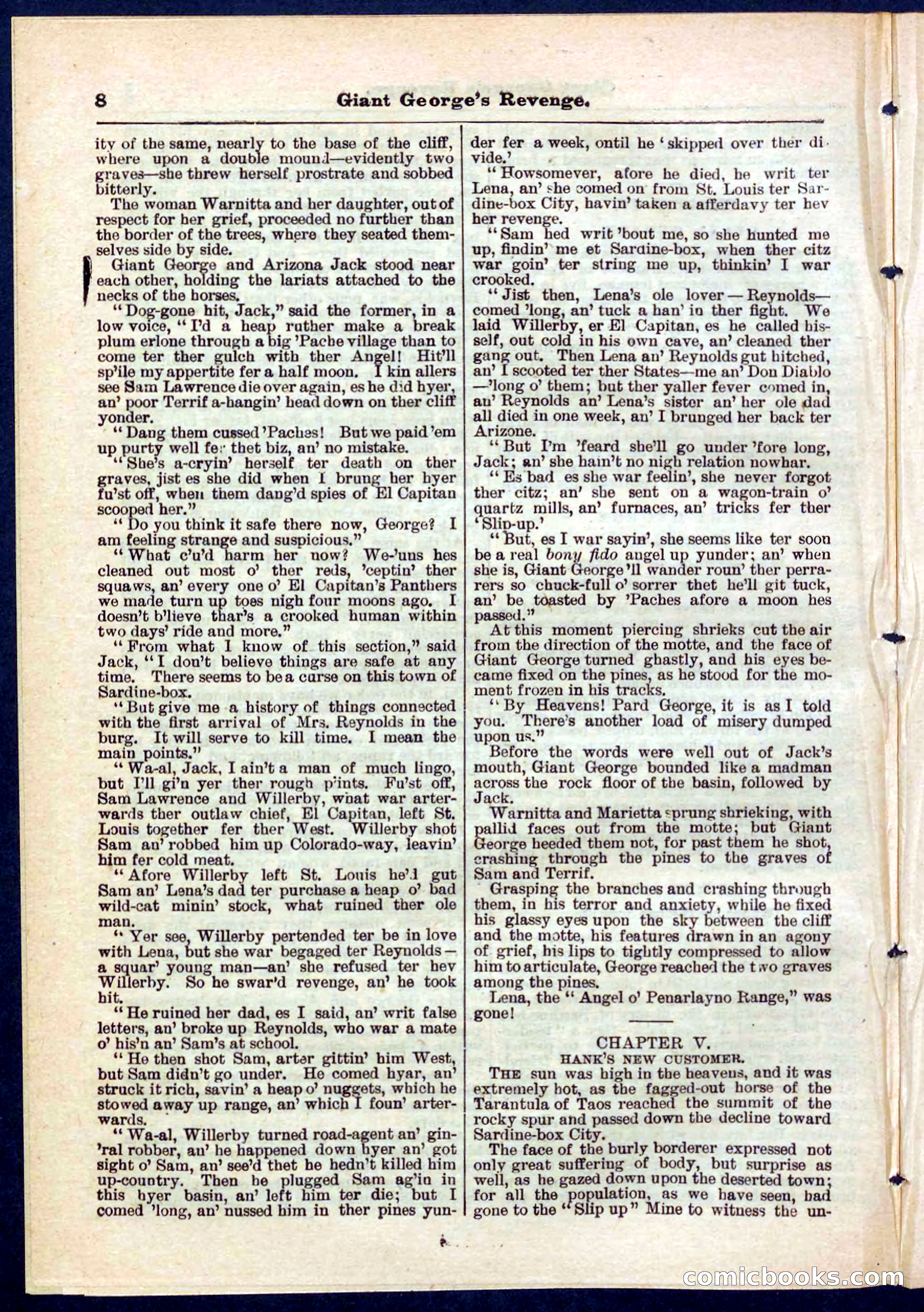 Beadle's Pocket Library No. 267 — page 8 of 32