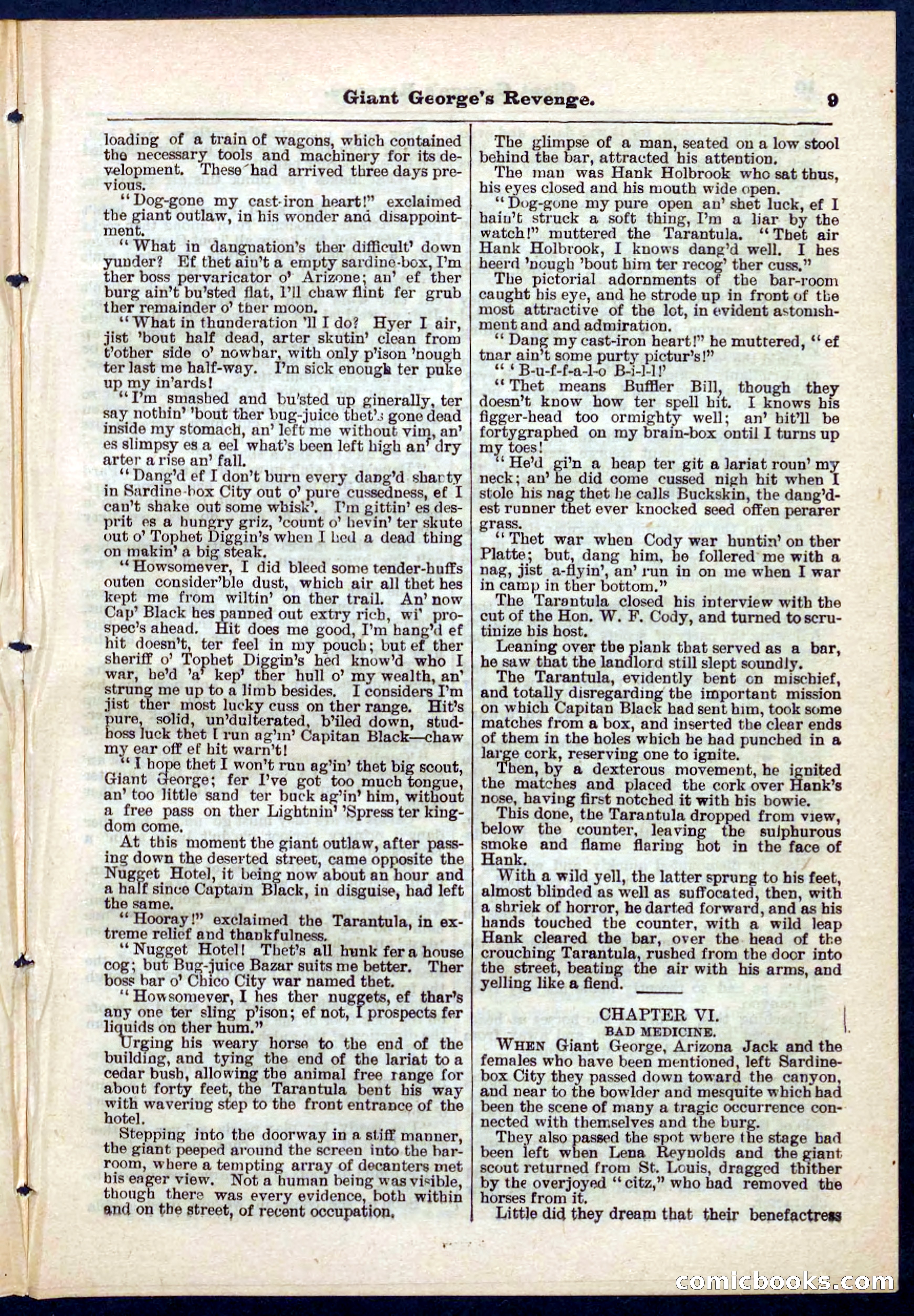Beadle's Pocket Library No. 267 — page 9 of 32