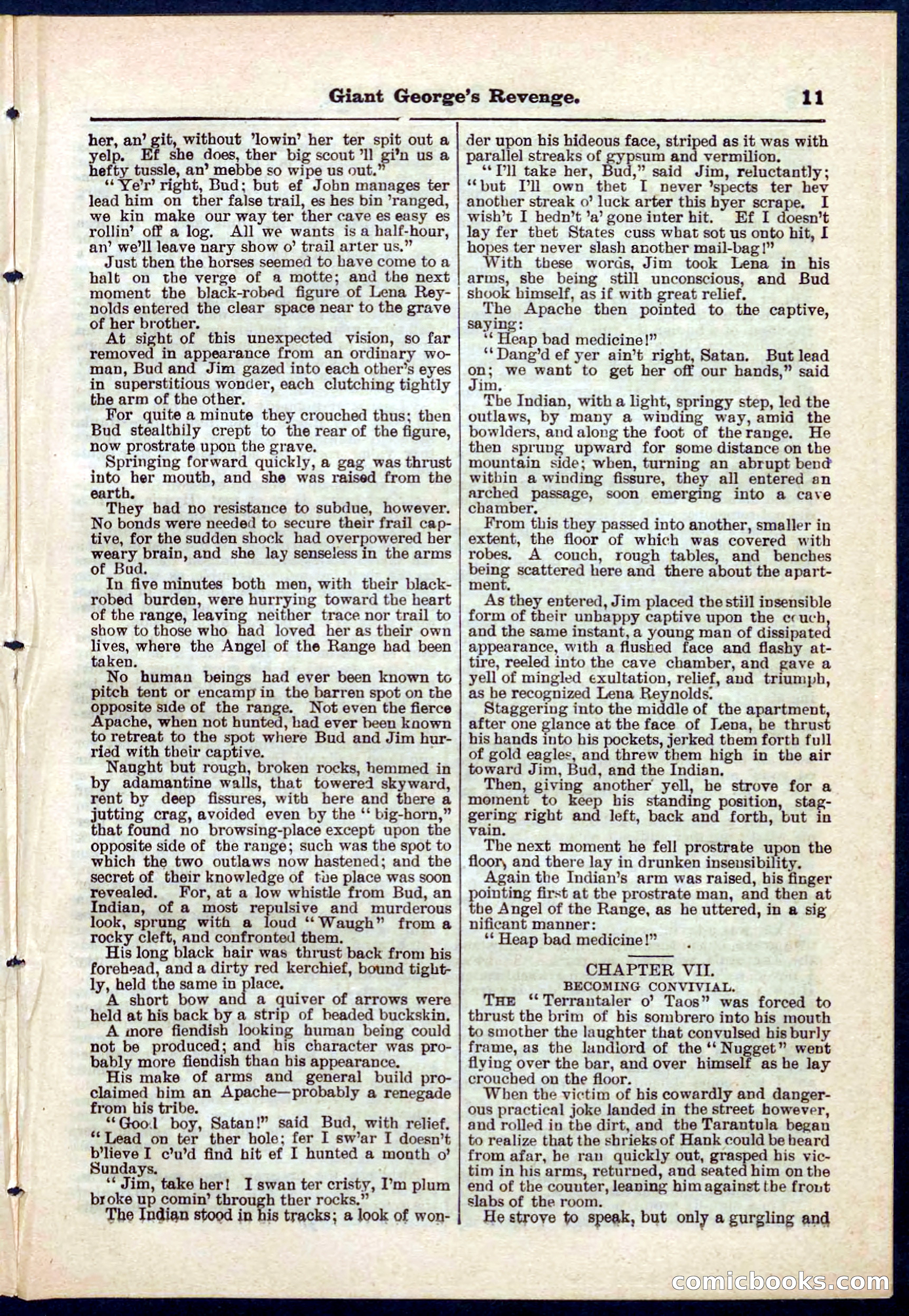 Beadle's Pocket Library No. 267 — page 11 of 32