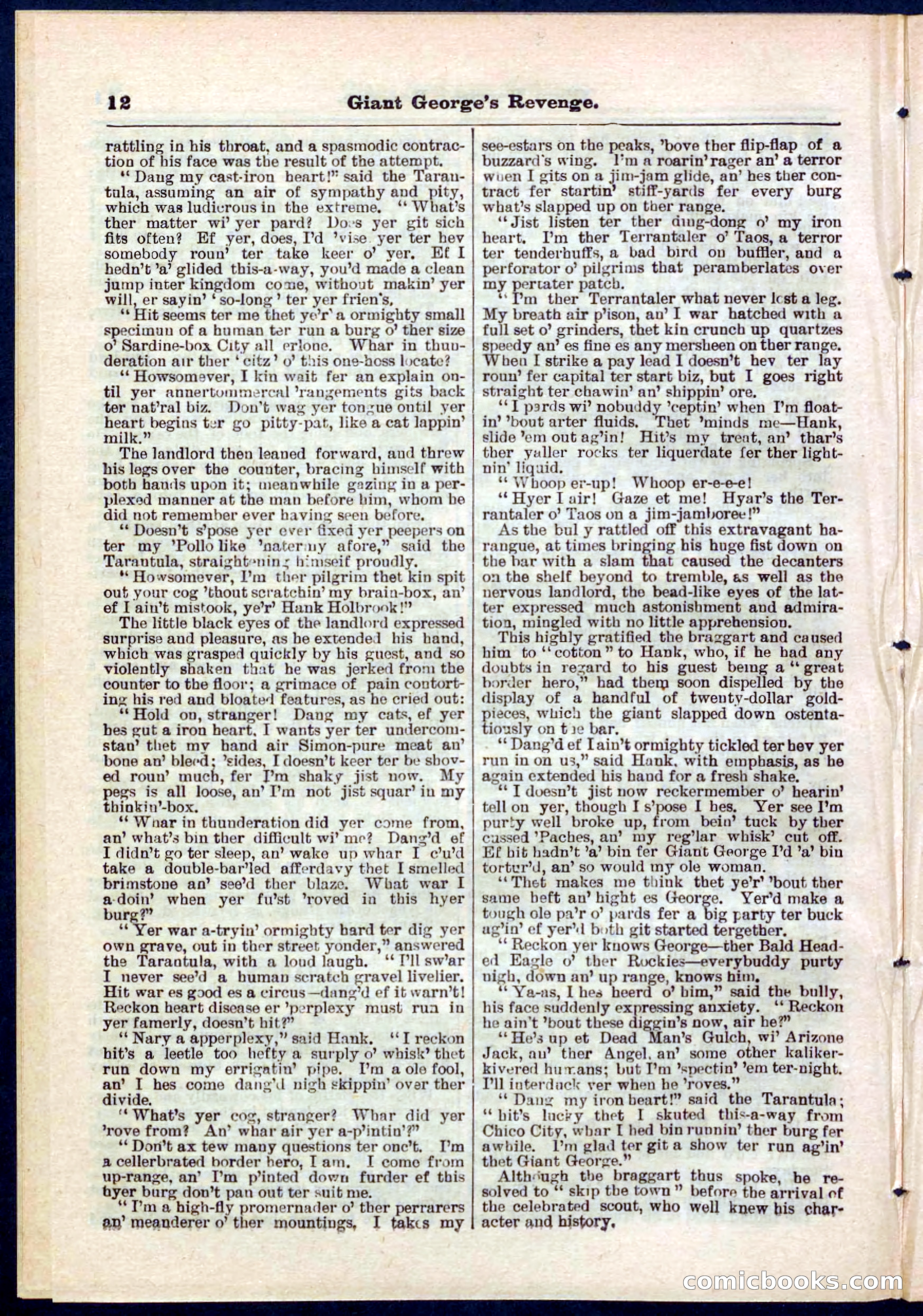 Beadle's Pocket Library No. 267 — page 12 of 32