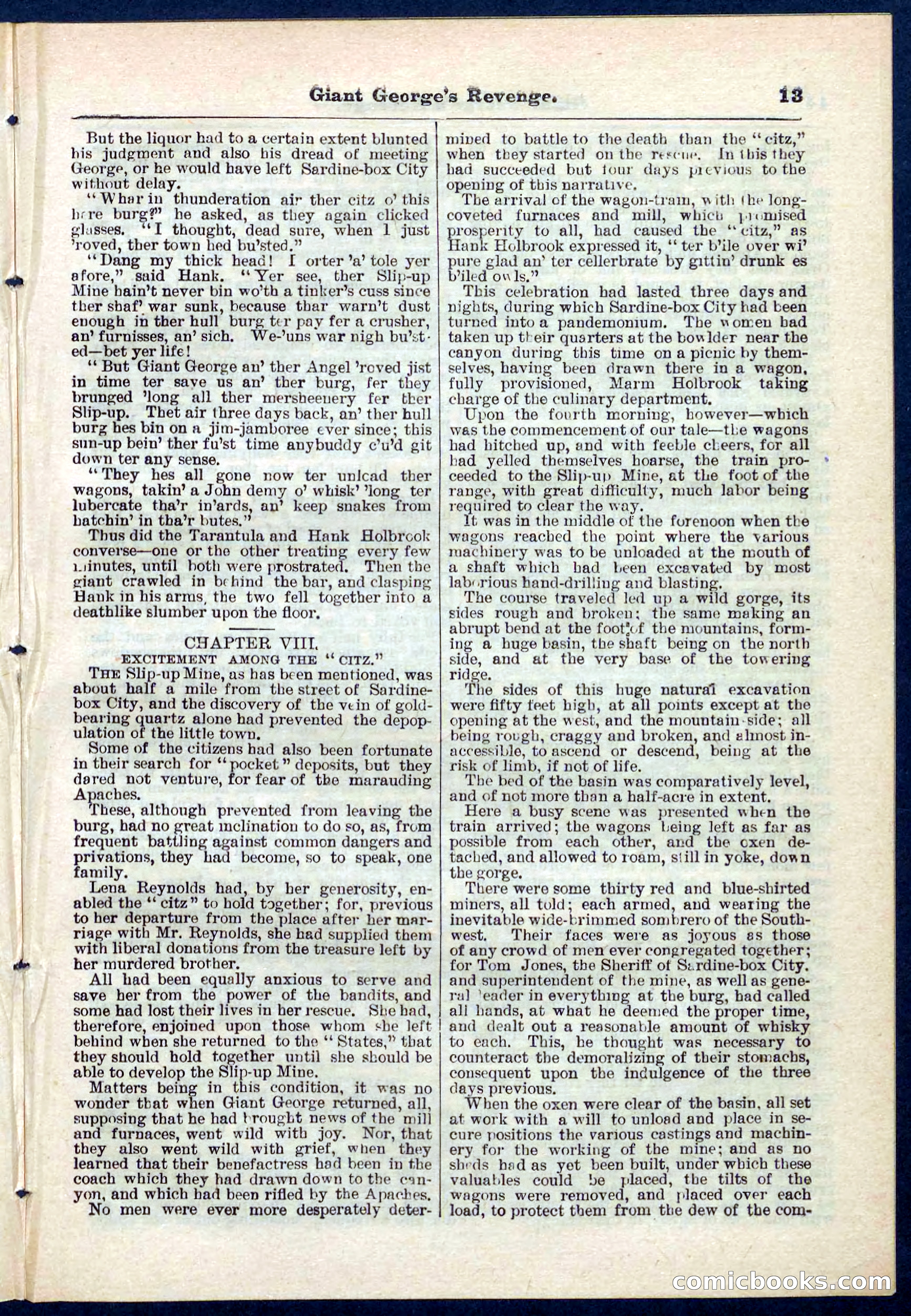 Beadle's Pocket Library No. 267 — page 13 of 32