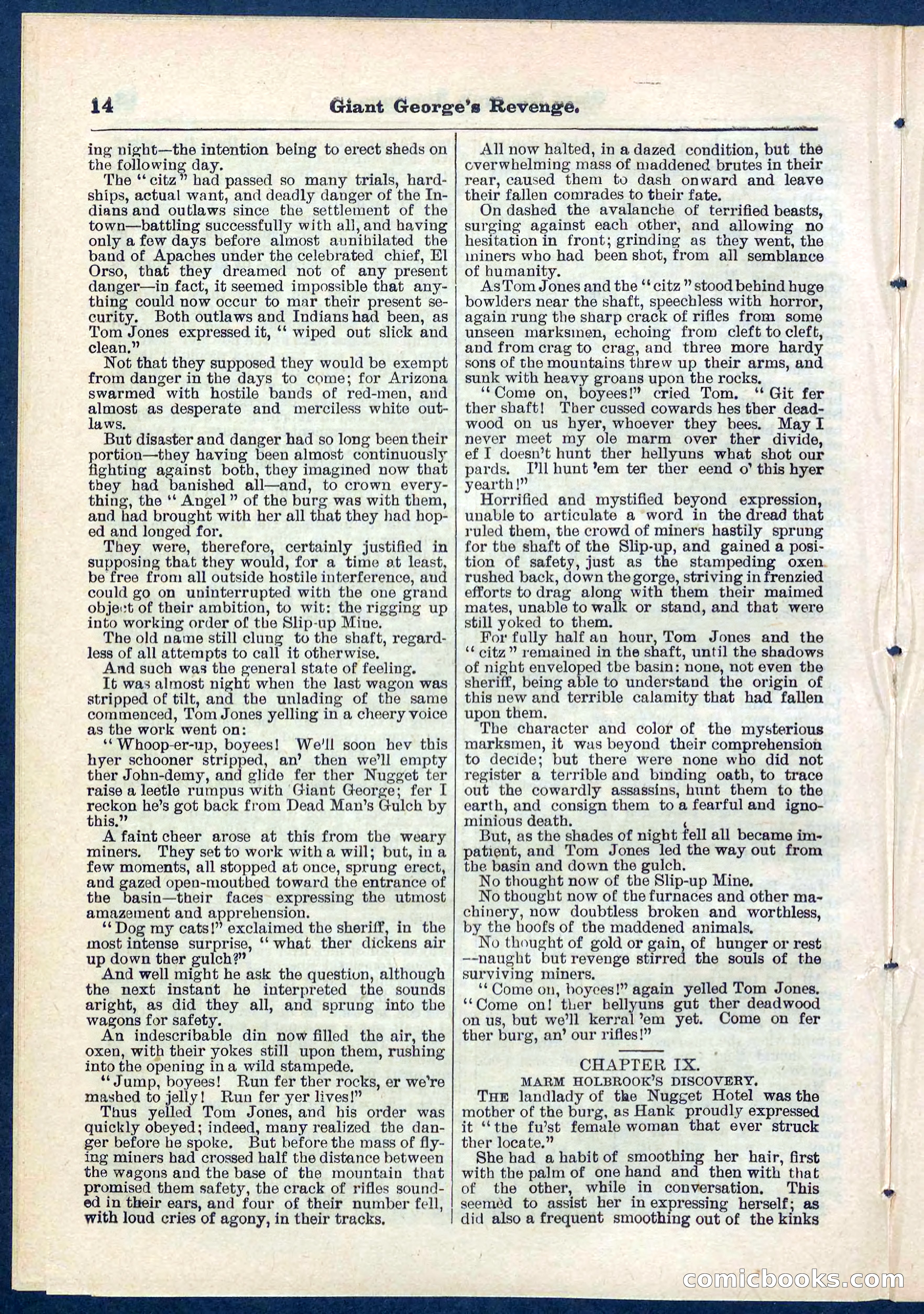 Beadle's Pocket Library No. 267 — page 14 of 32