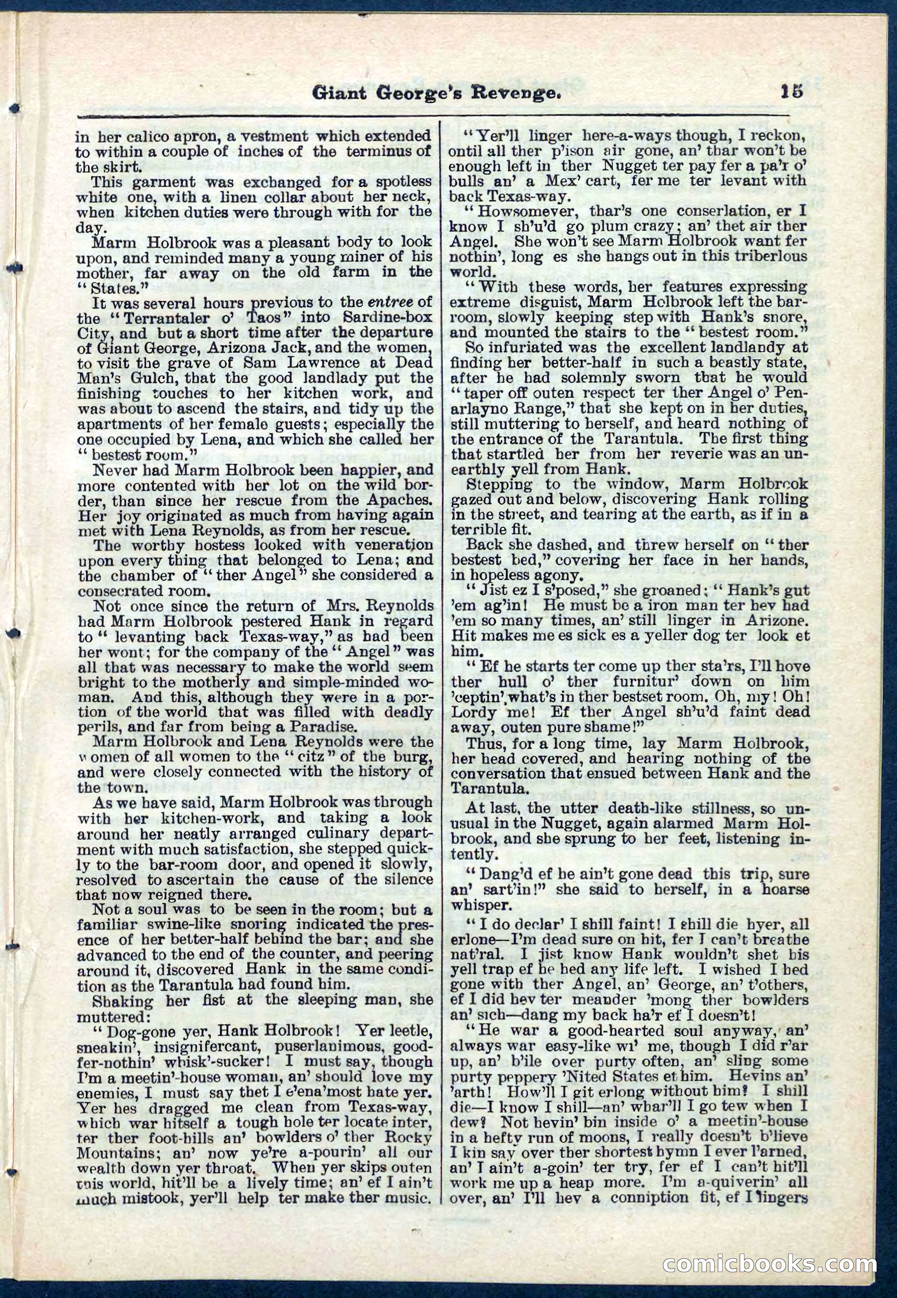 Beadle's Pocket Library No. 267 — page 15 of 32