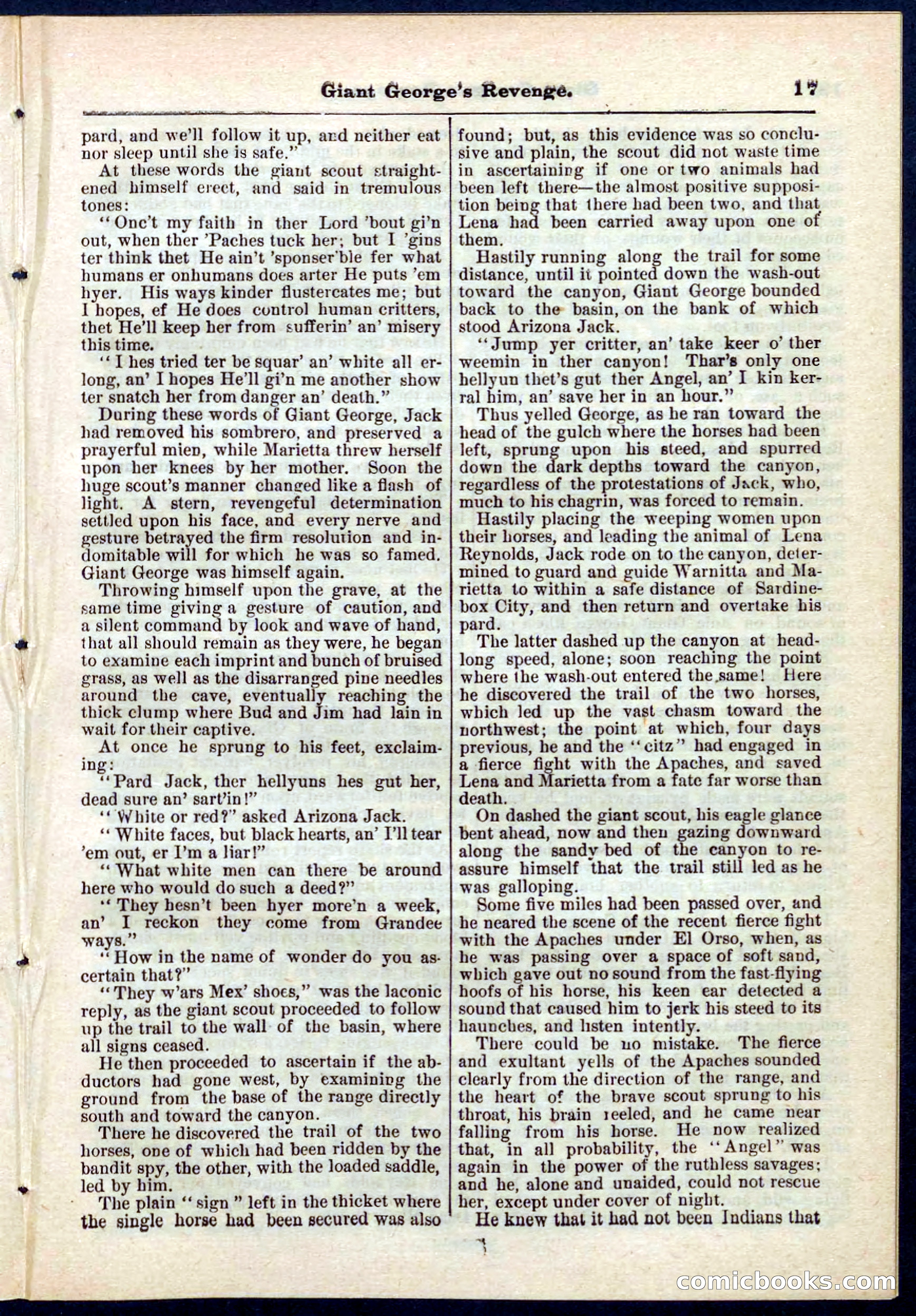 Beadle's Pocket Library No. 267 — page 17 of 32
