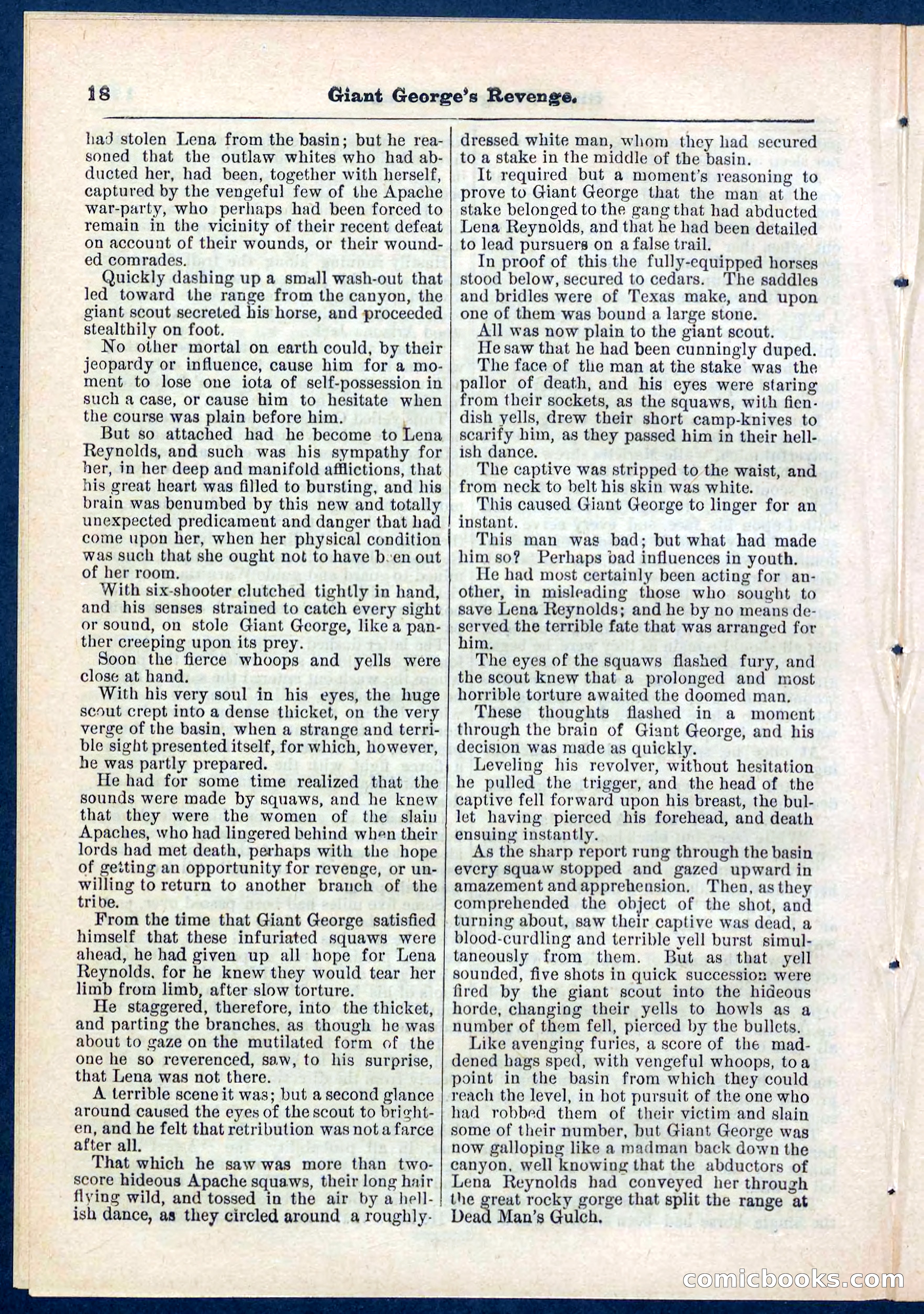 Beadle's Pocket Library No. 267 — page 18 of 32