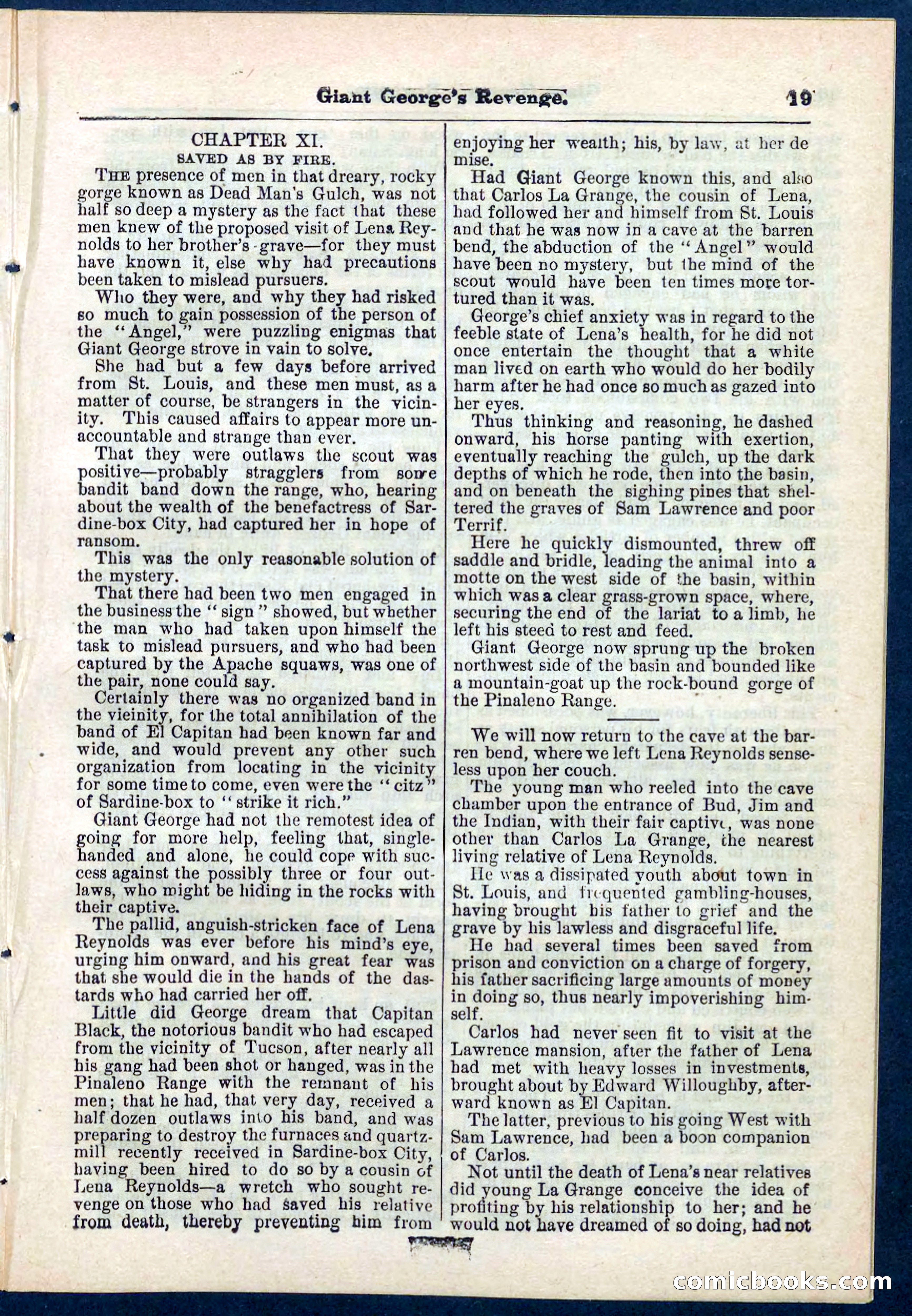 Beadle's Pocket Library No. 267 — page 19 of 32
