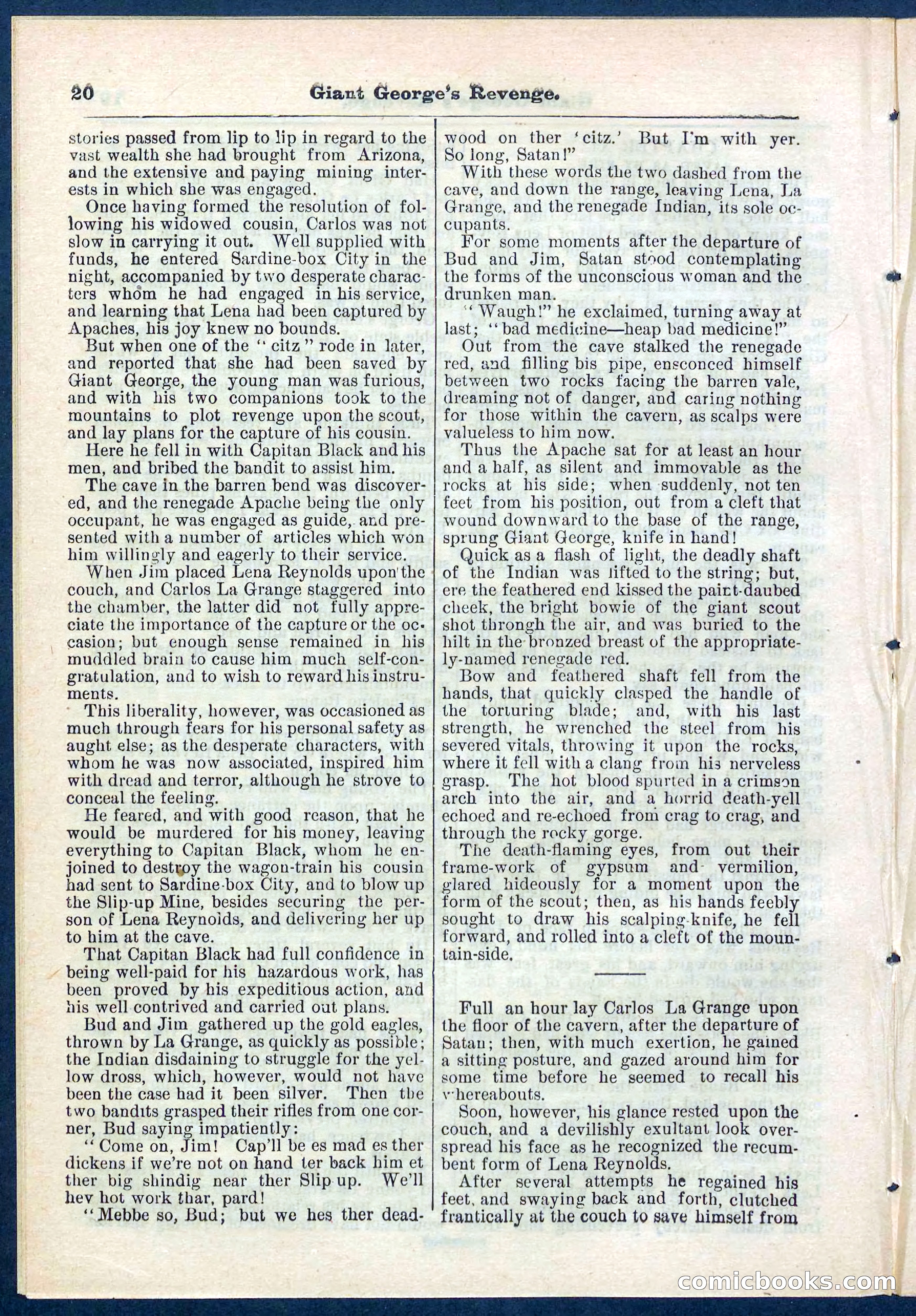 Beadle's Pocket Library No. 267 — page 20 of 32