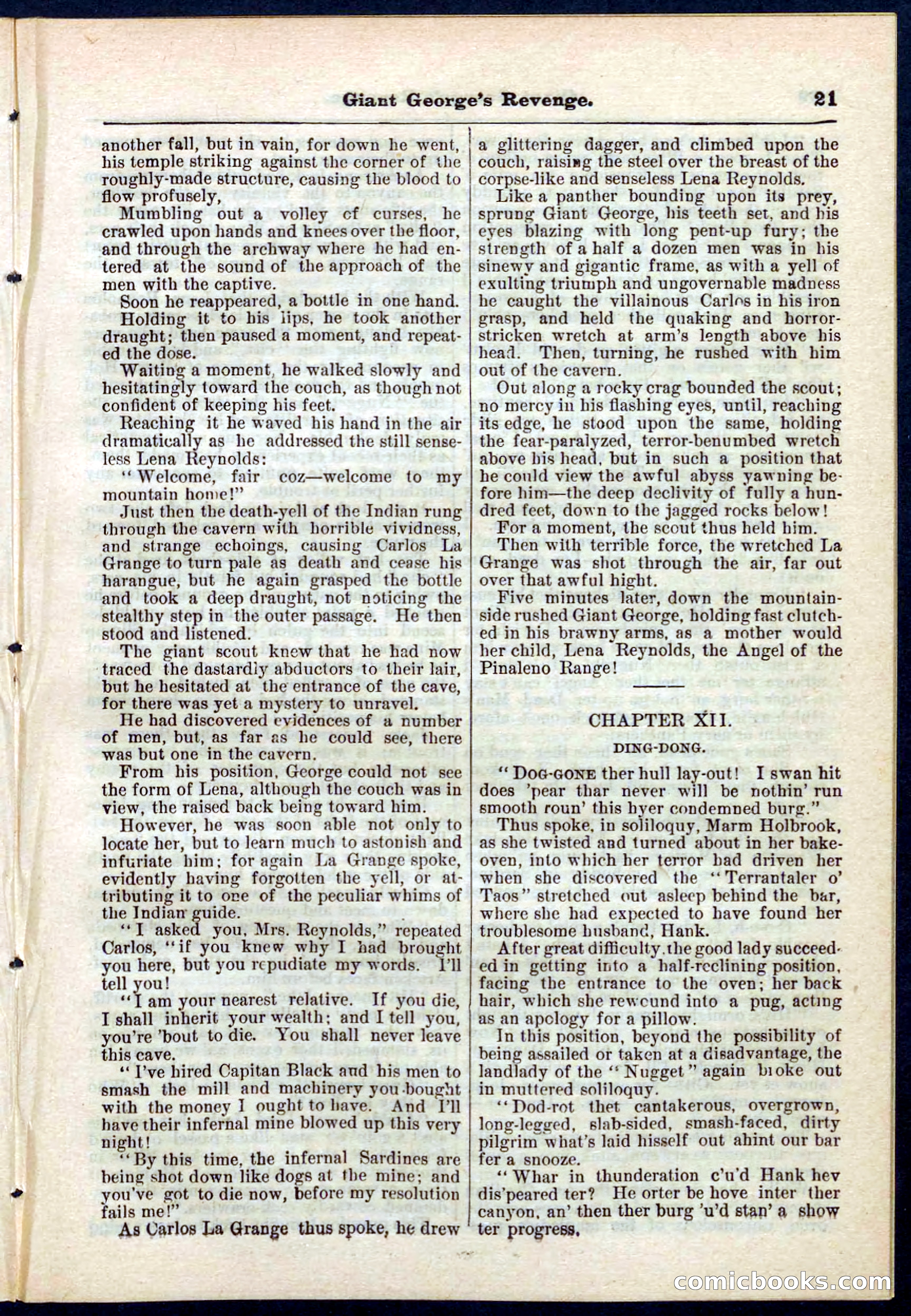 Beadle's Pocket Library No. 267 — page 21 of 32