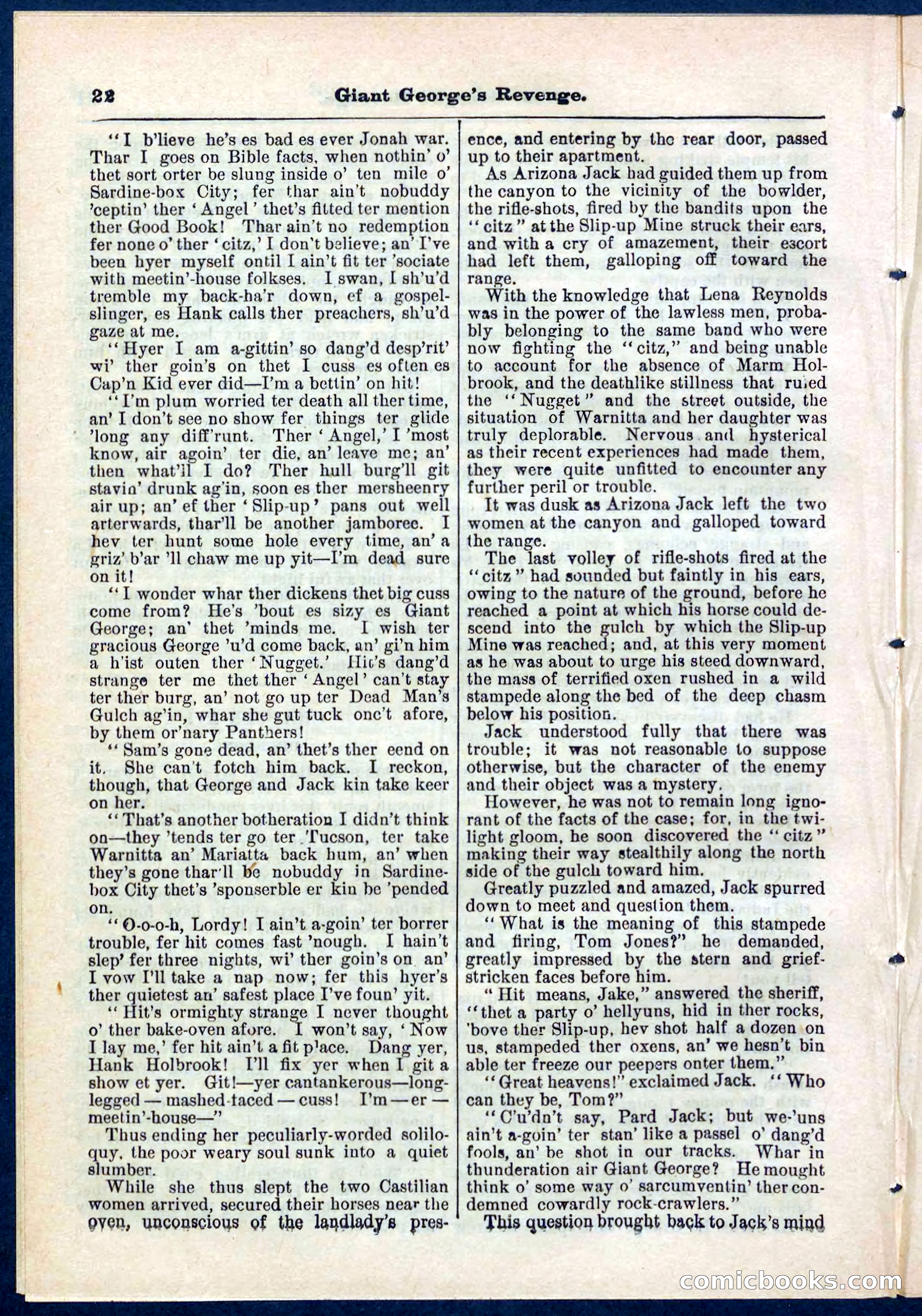 Beadle's Pocket Library No. 267 — page 22 of 32