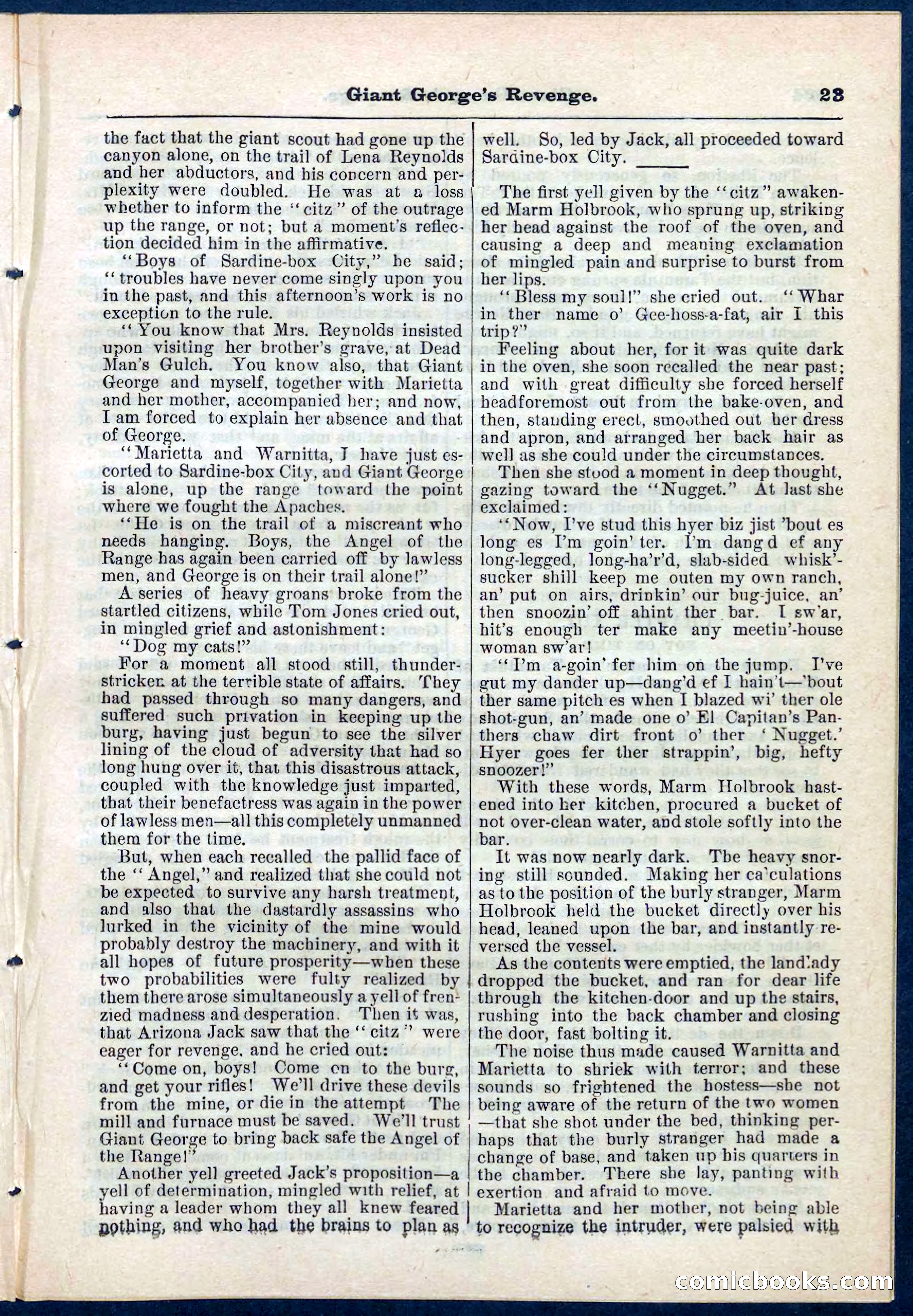 Beadle's Pocket Library No. 267 — page 23 of 32