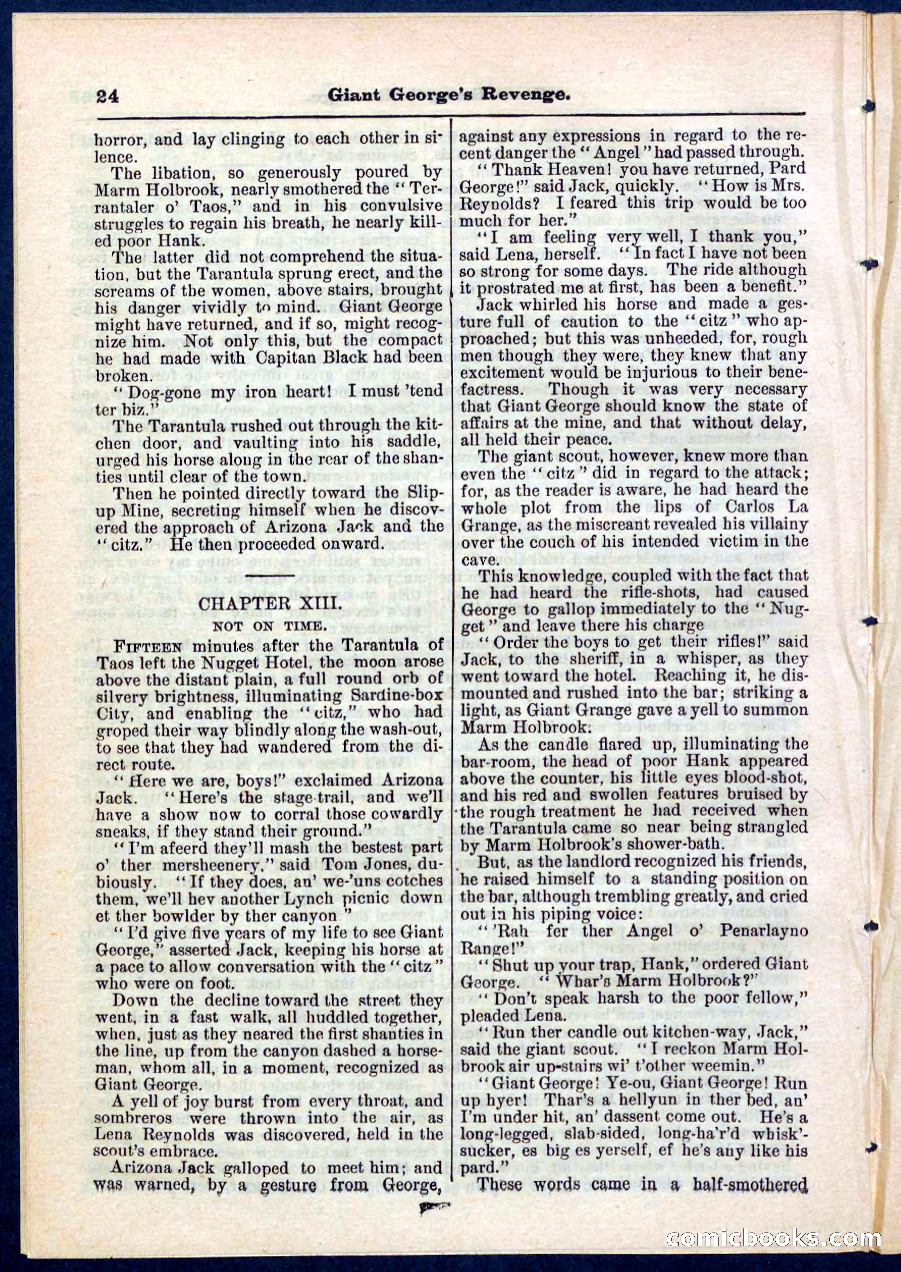 Beadle's Pocket Library No. 267 — page 24 of 32