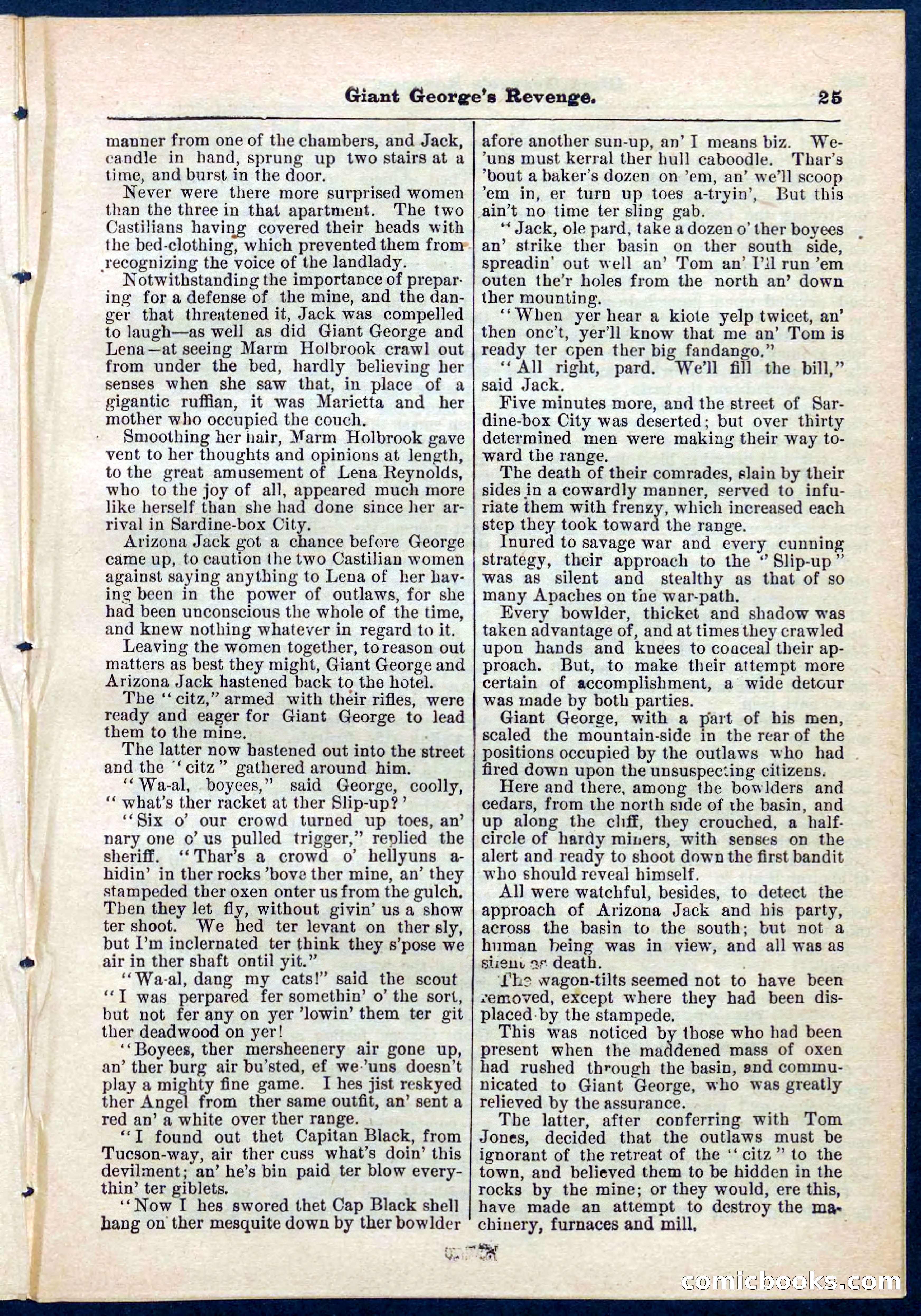 Beadle's Pocket Library No. 267 — page 25 of 32
