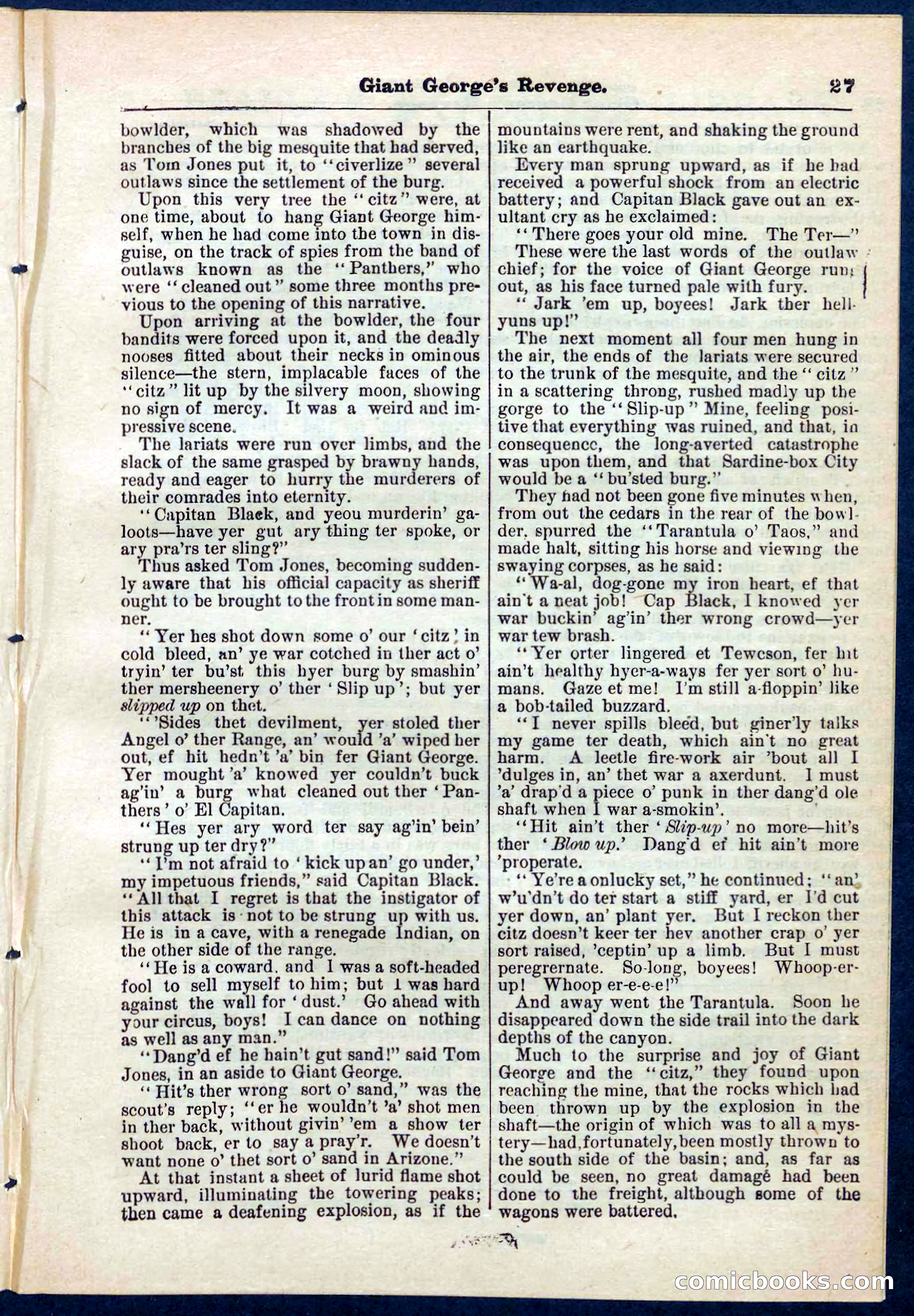 Beadle's Pocket Library No. 267 — page 27 of 32