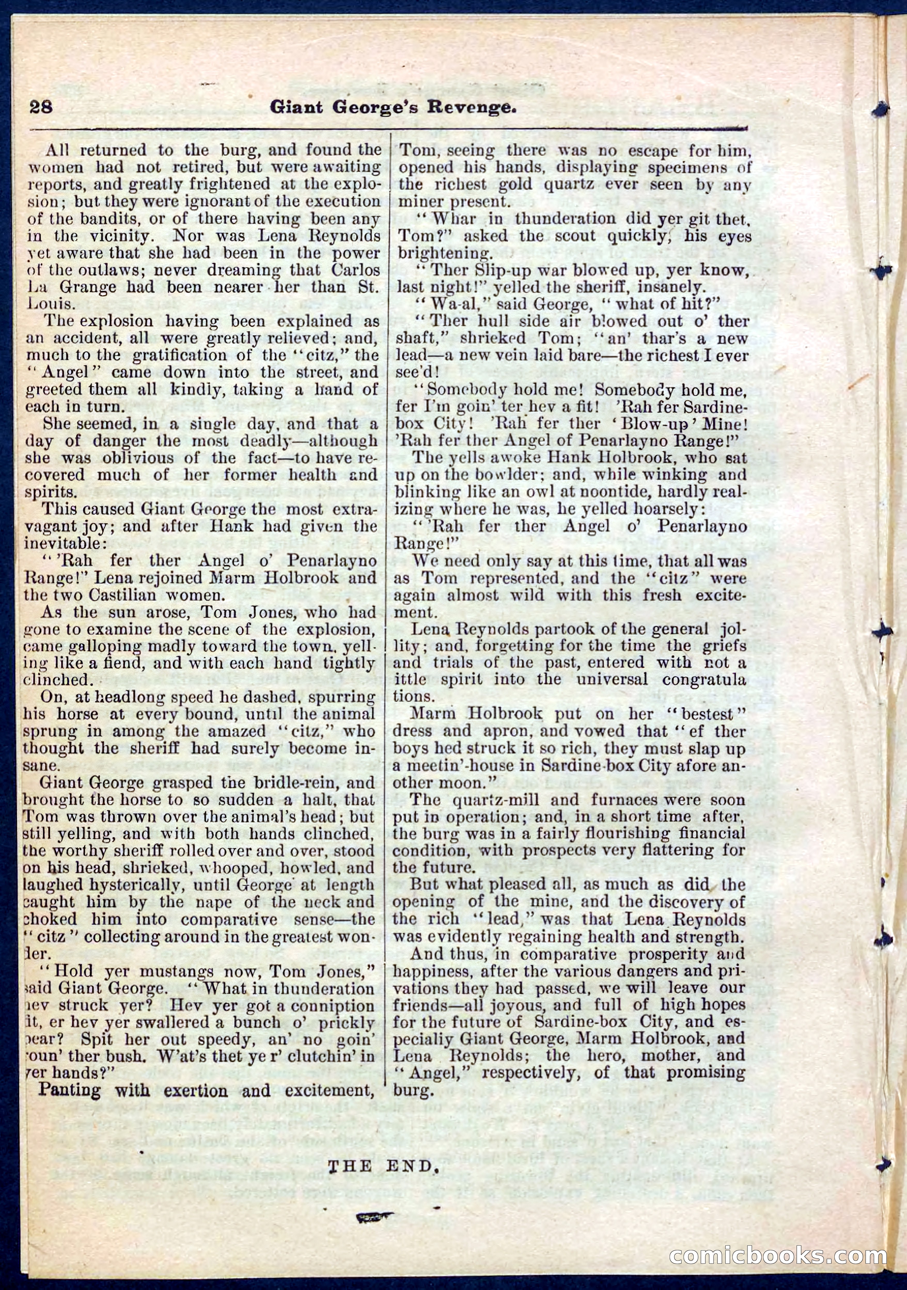Beadle's Pocket Library No. 267 — page 28 of 32