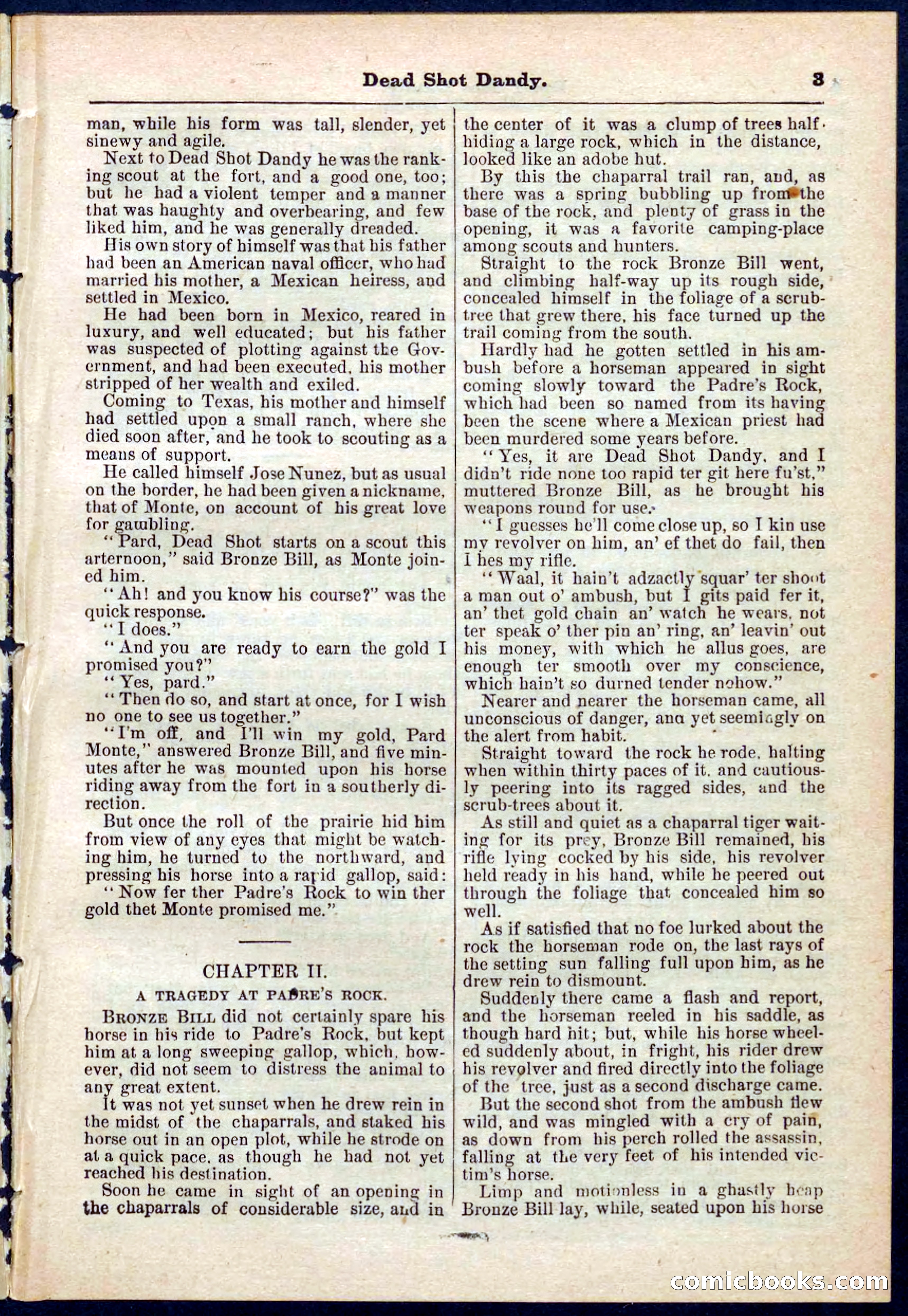 Beadle's Pocket Library No. 268 — page 3 of 32