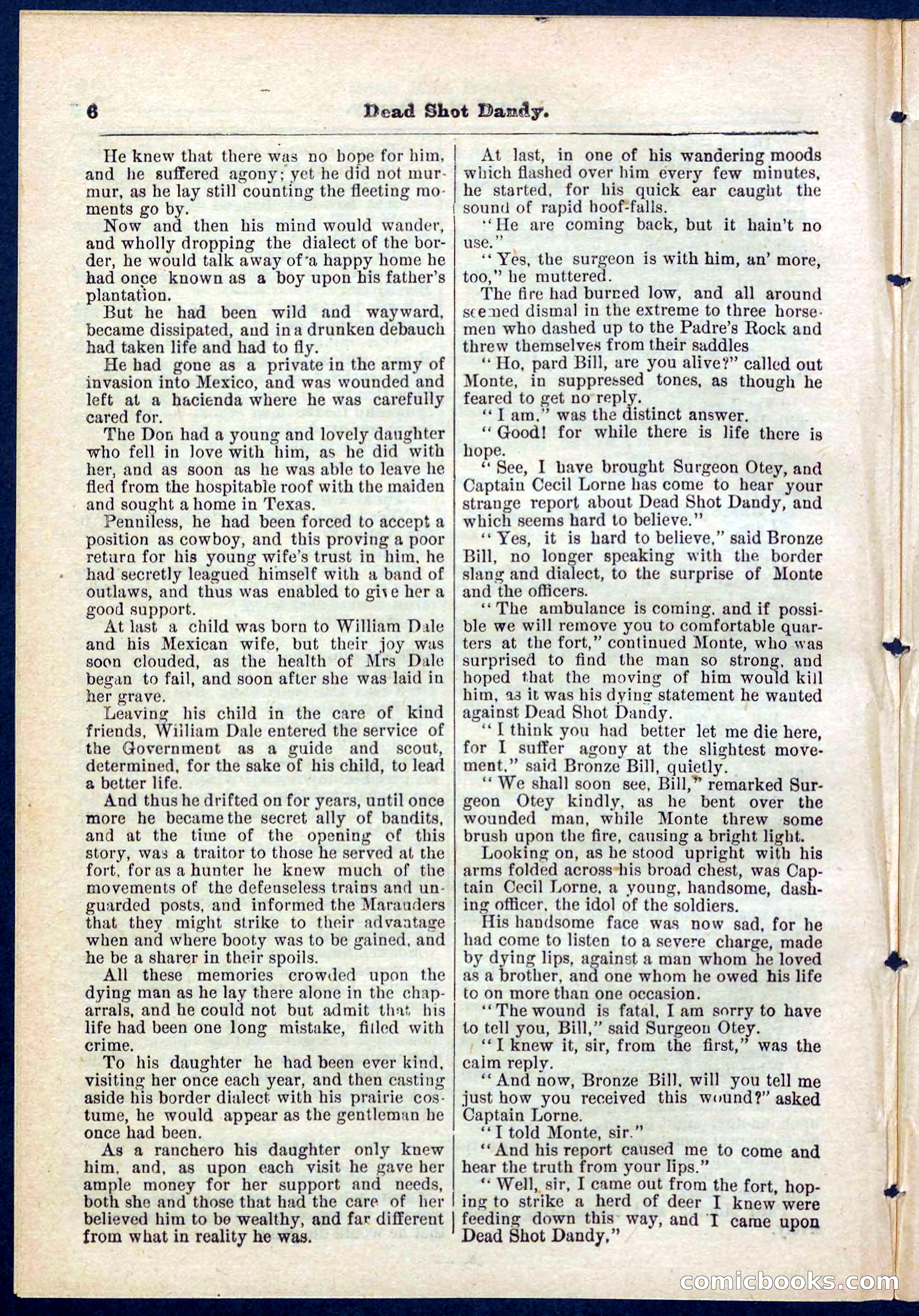 Beadle's Pocket Library No. 268 — page 6 of 32