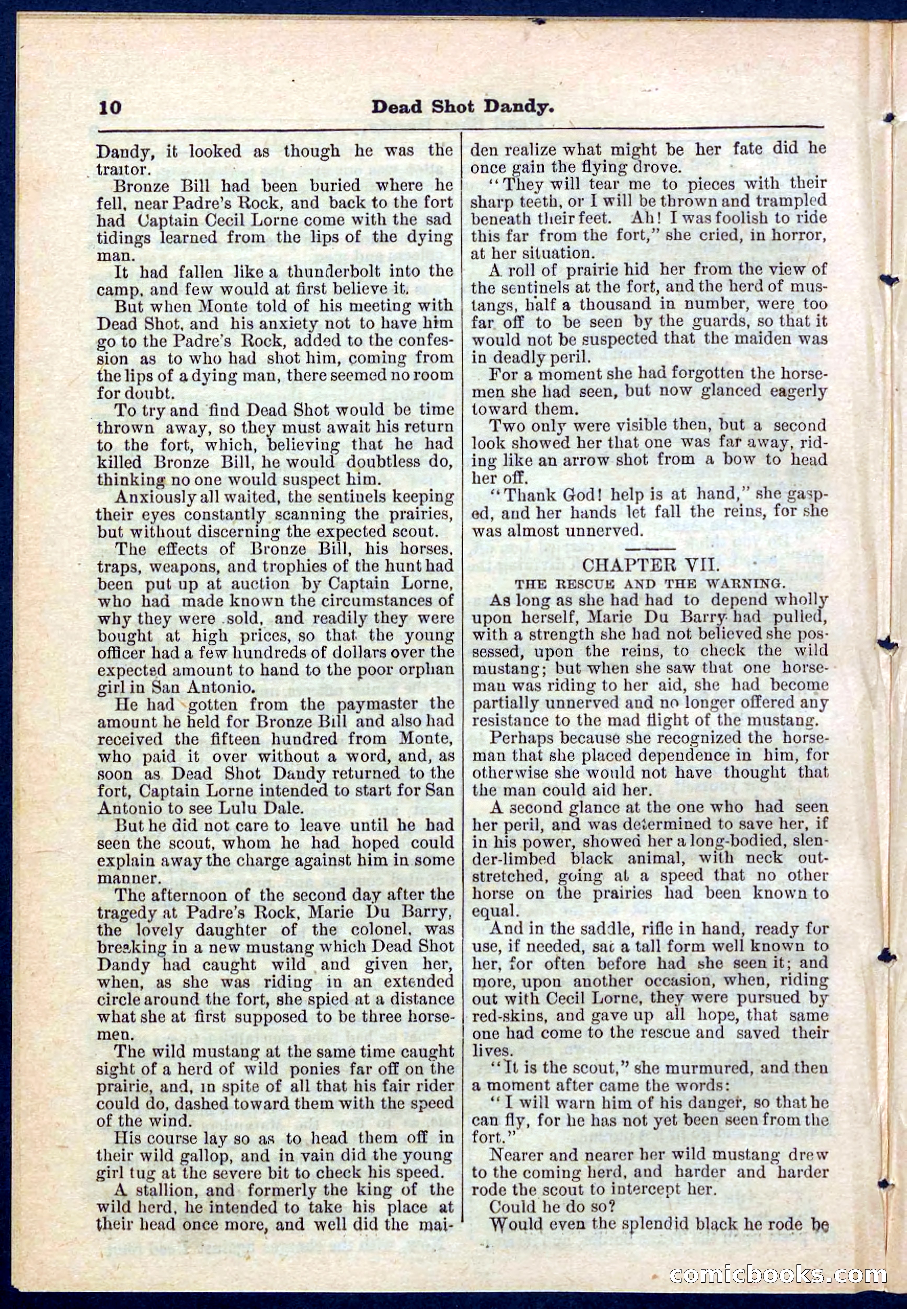 Beadle's Pocket Library No. 268 — page 10 of 32