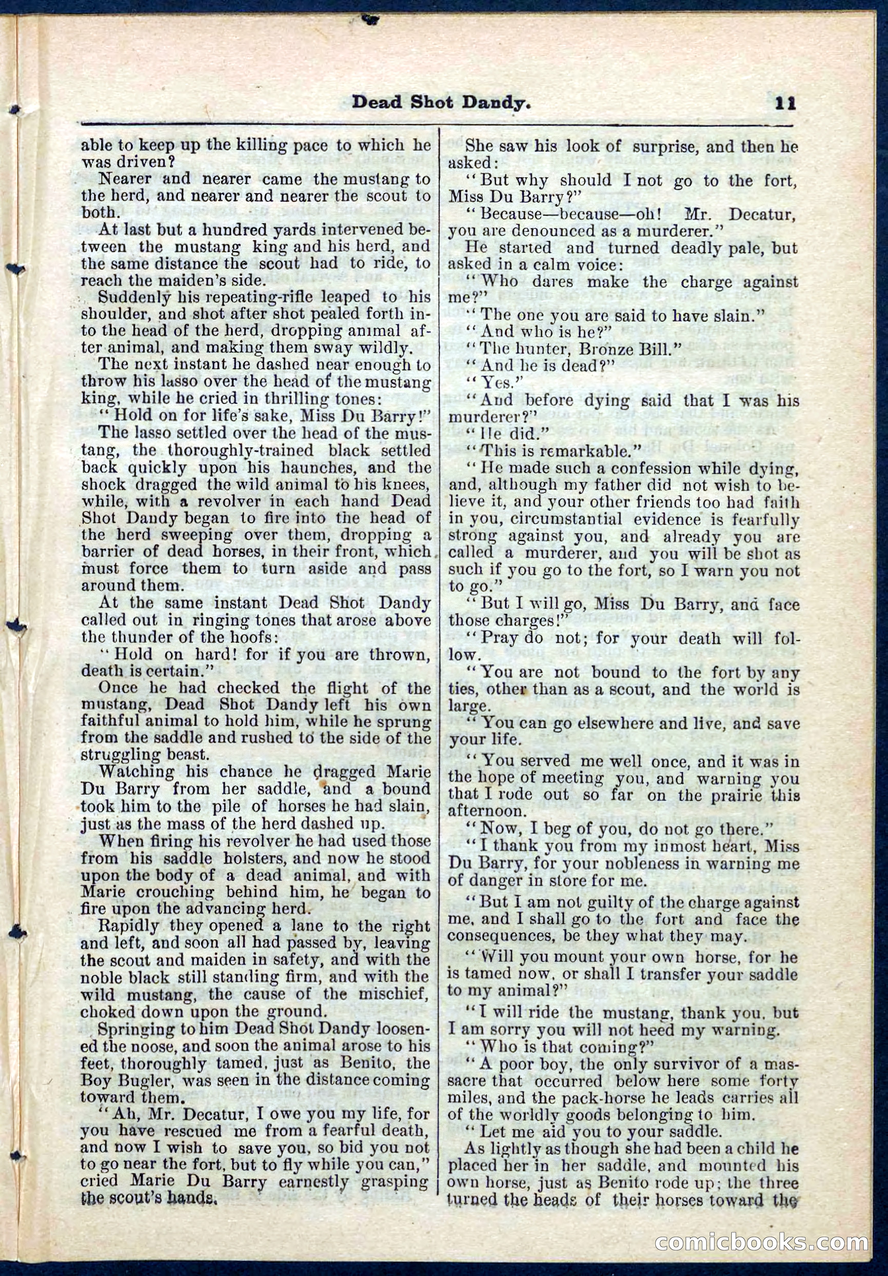 Beadle's Pocket Library No. 268 — page 11 of 32