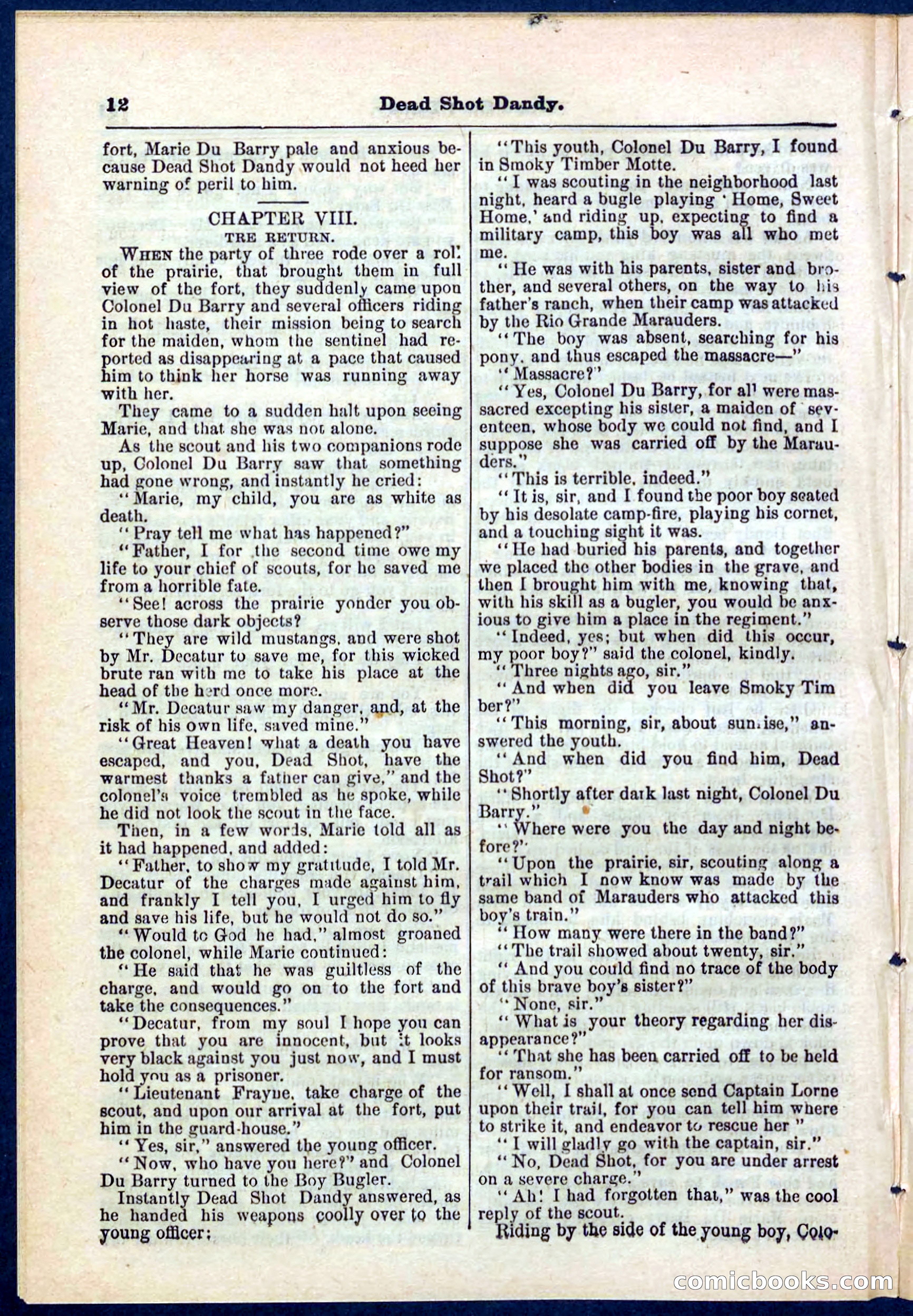 Beadle's Pocket Library No. 268 — page 12 of 32