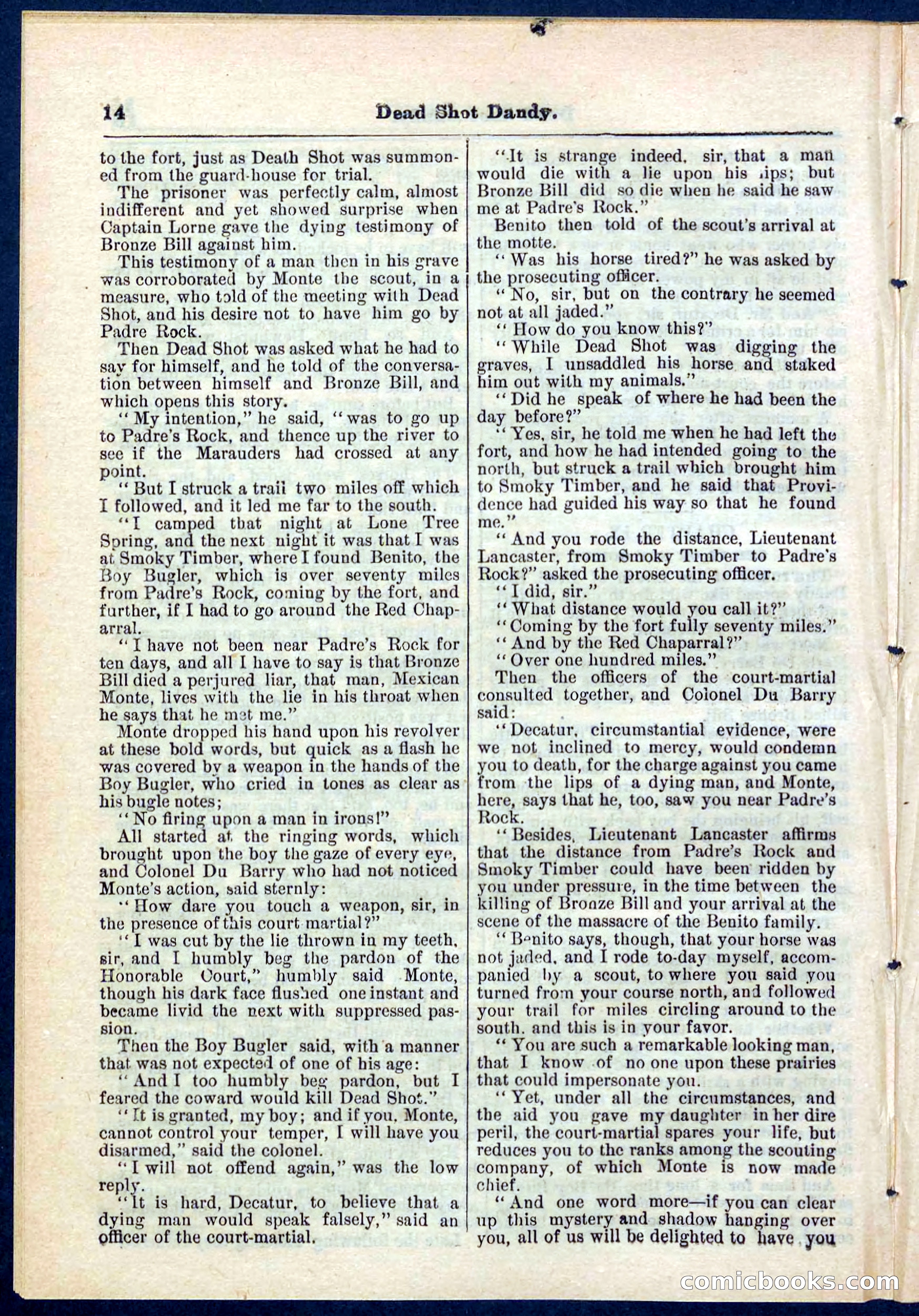 Beadle's Pocket Library No. 268 — page 14 of 32
