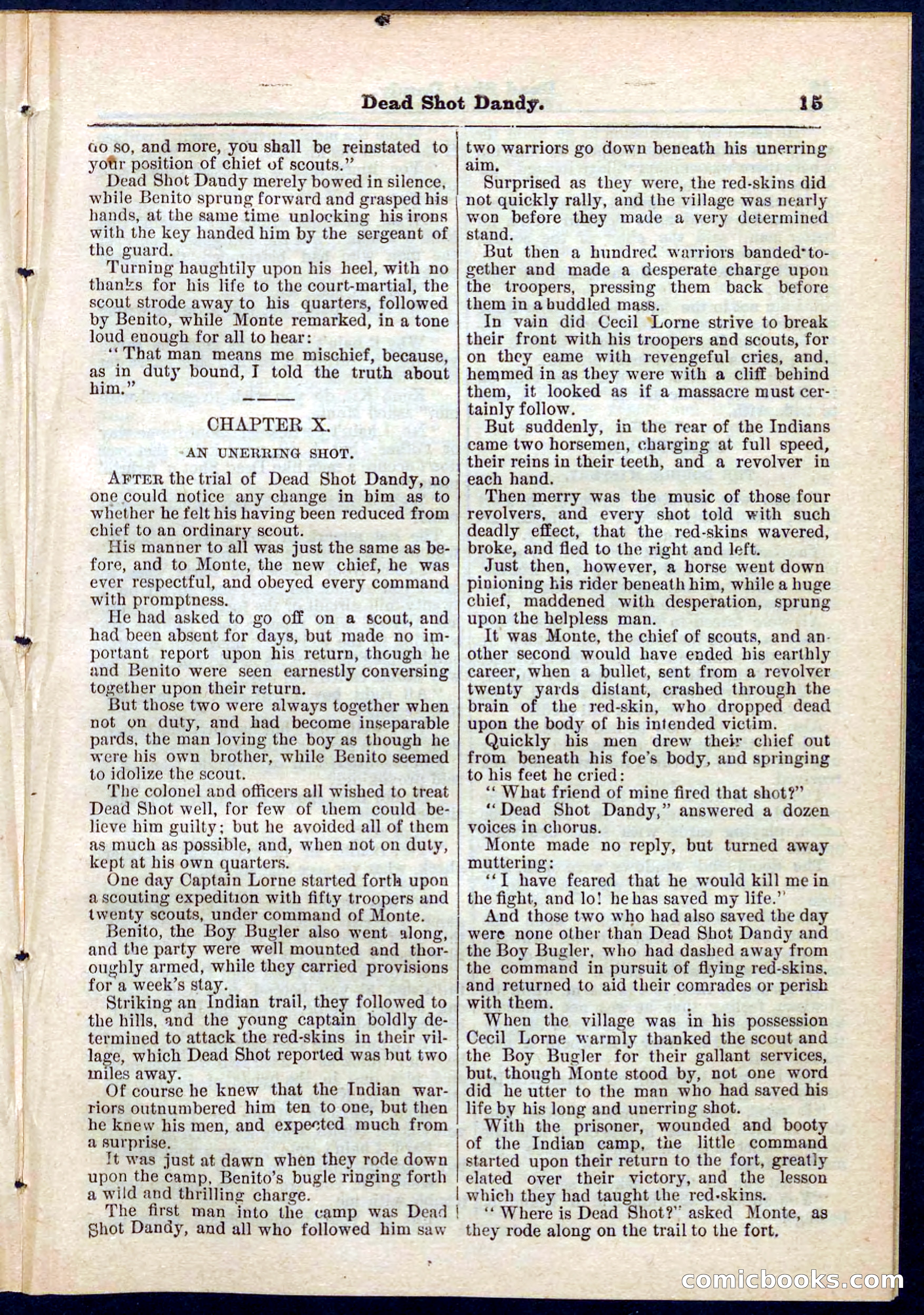 Beadle's Pocket Library No. 268 — page 15 of 32