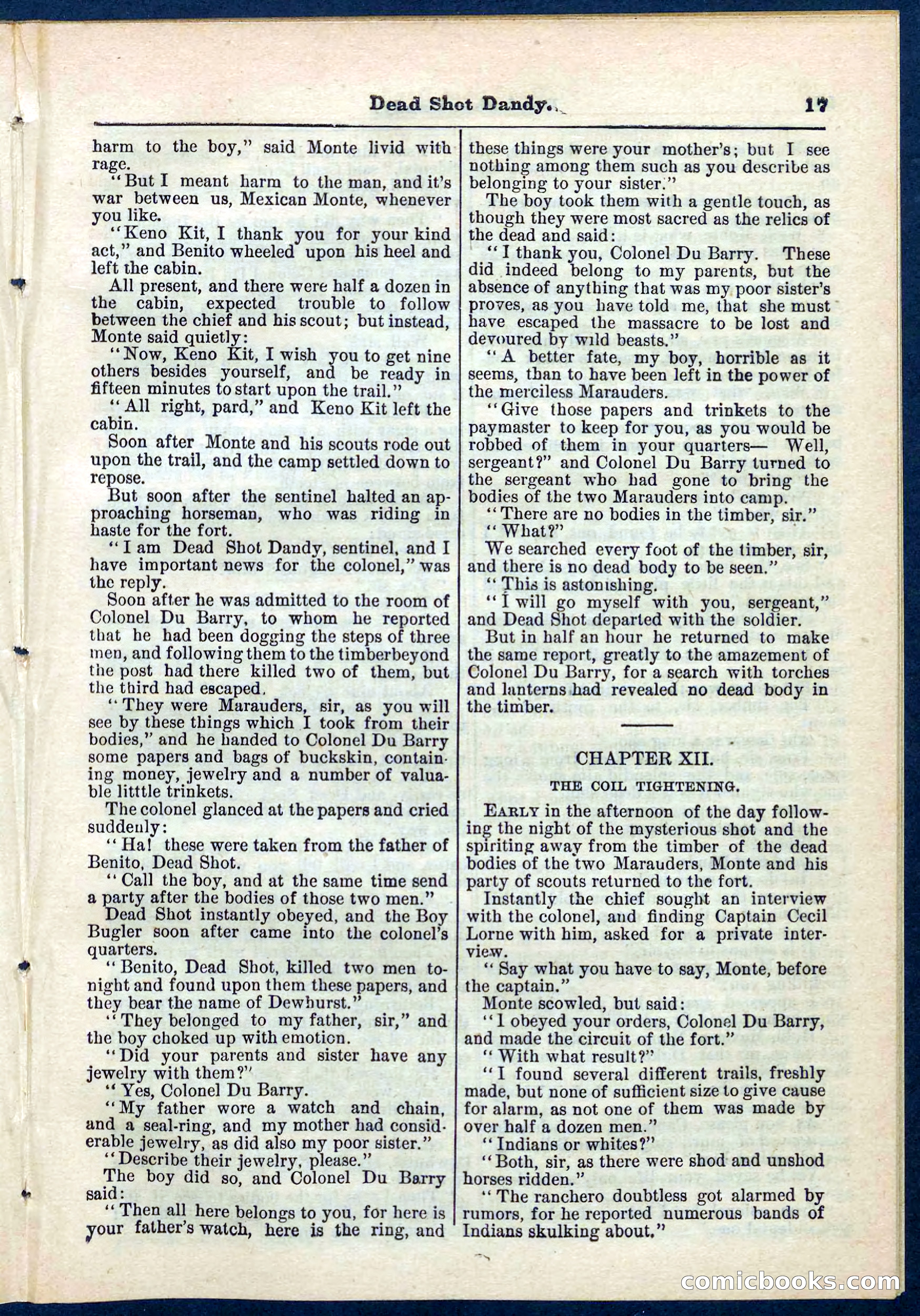 Beadle's Pocket Library No. 268 — page 17 of 32