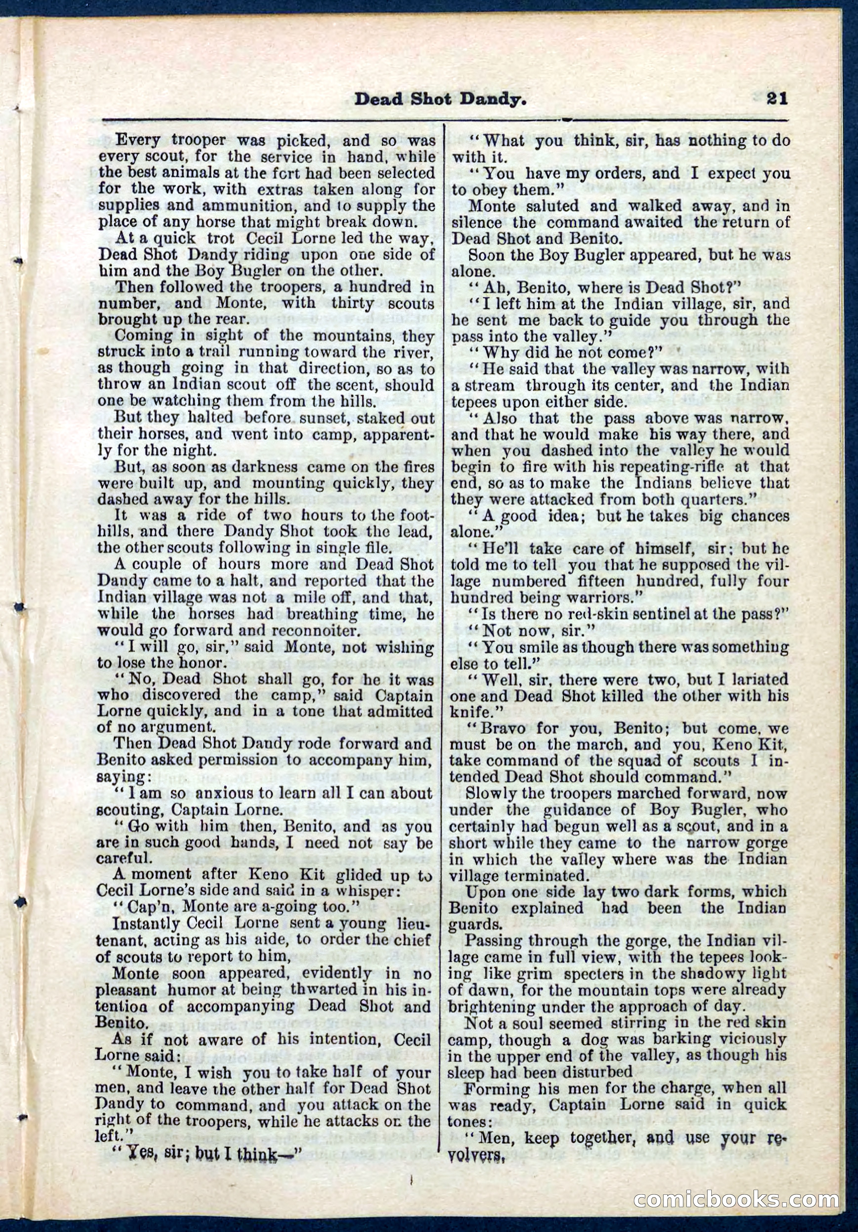 Beadle's Pocket Library No. 268 — page 21 of 32