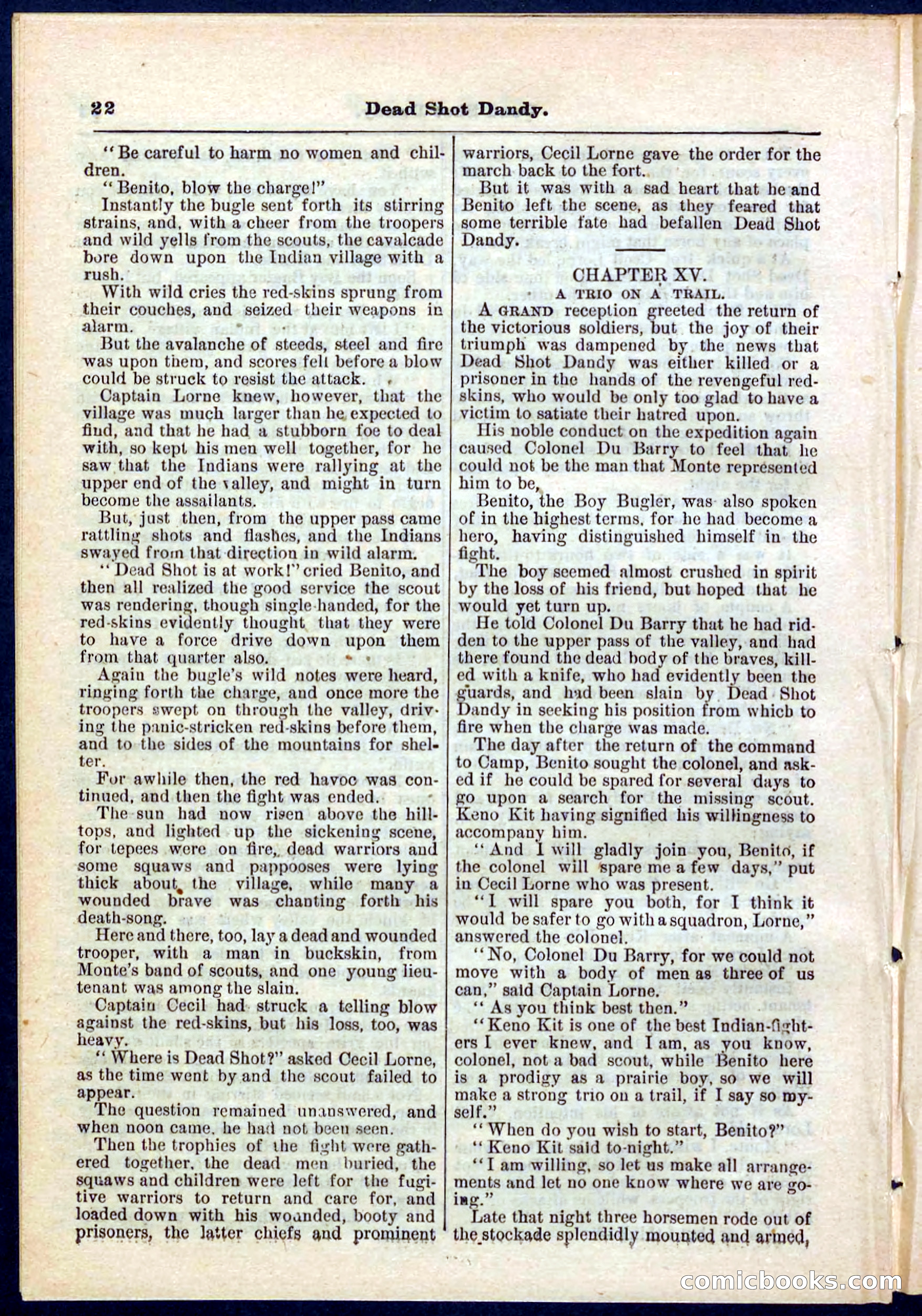 Beadle's Pocket Library No. 268 — page 22 of 32
