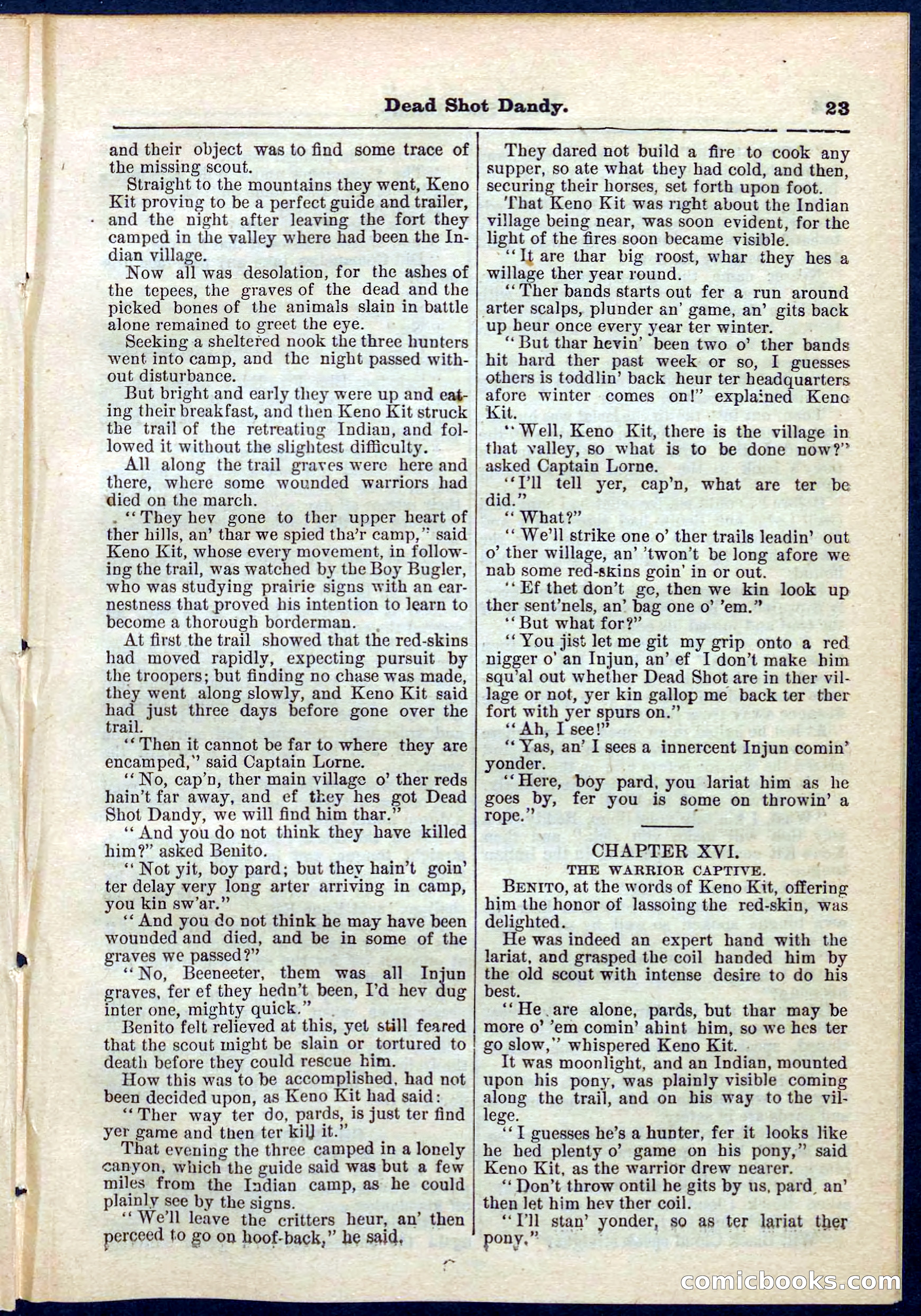 Beadle's Pocket Library No. 268 — page 23 of 32